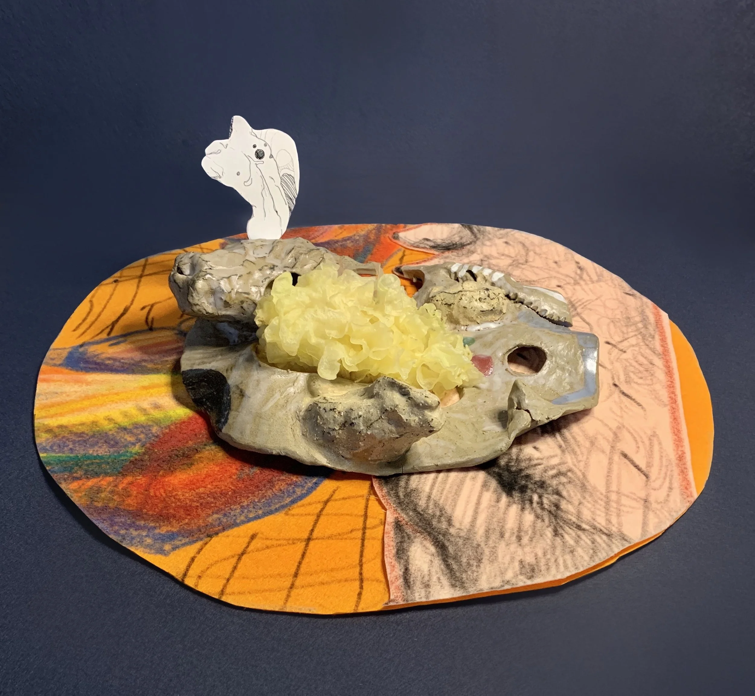 KakaoTalk_Photo_2023-02-05-01-11-54 014.jpeg