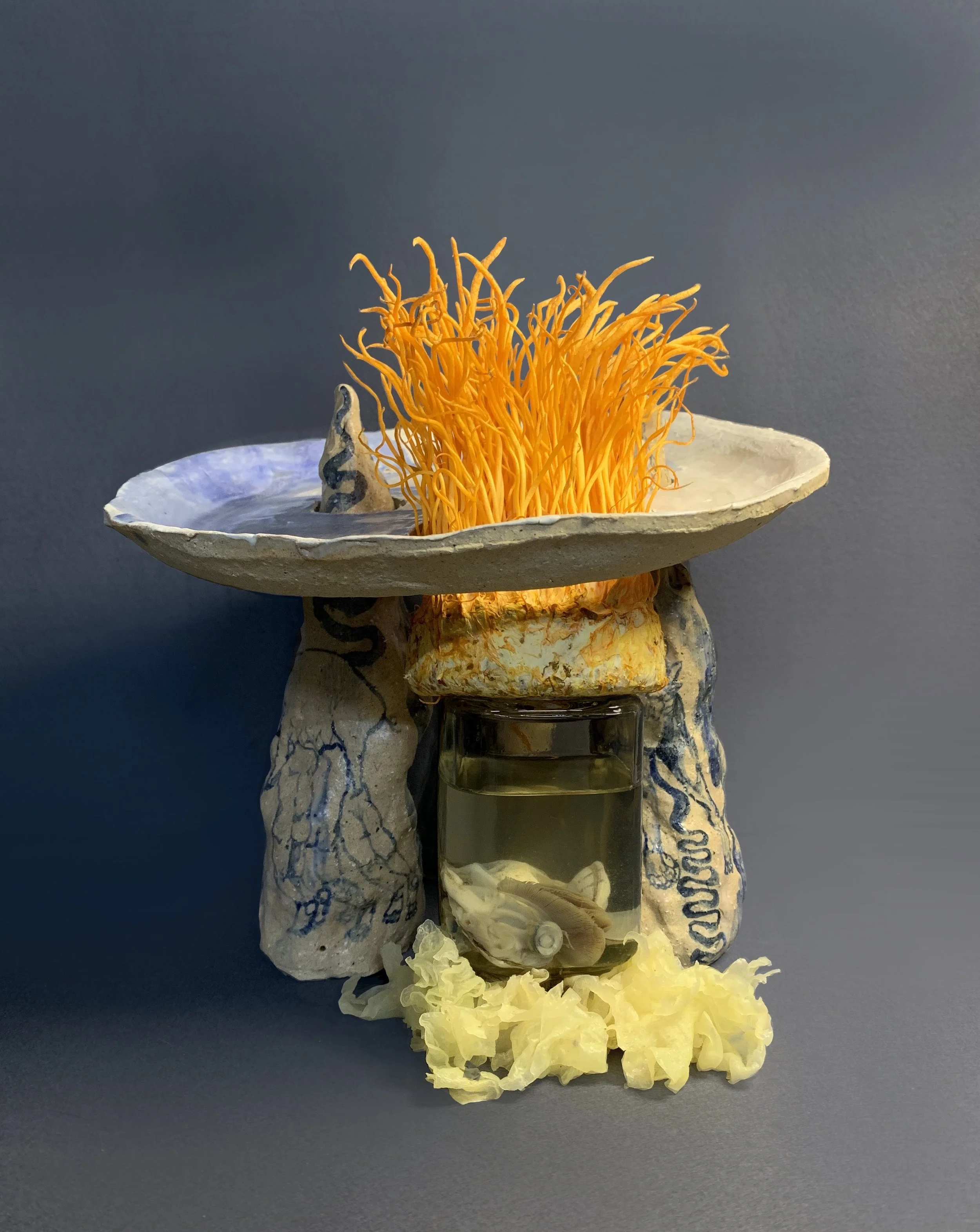 KakaoTalk_Photo_2023-02-05-01-11-55 015.jpeg