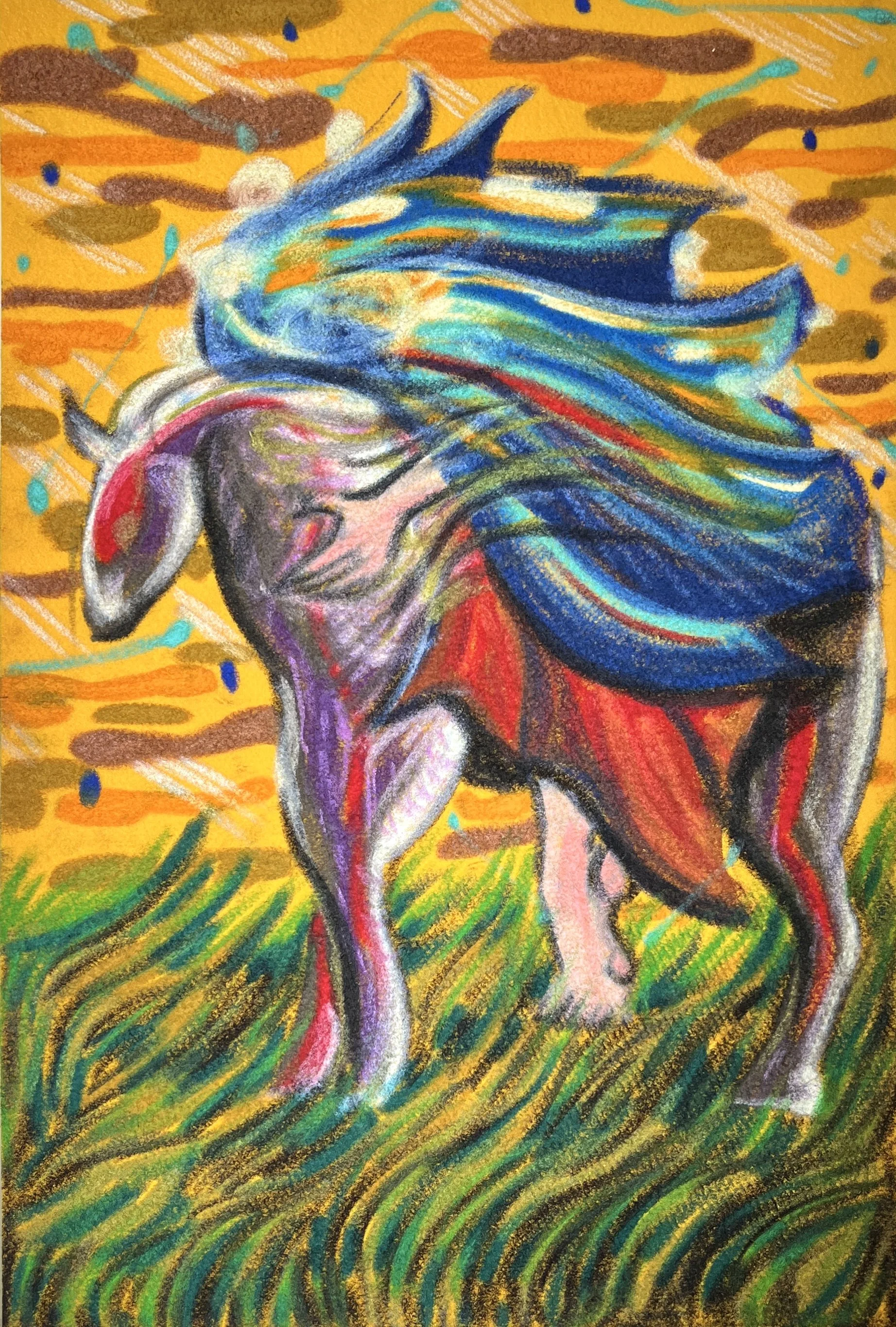 방황을 담아.jpeg