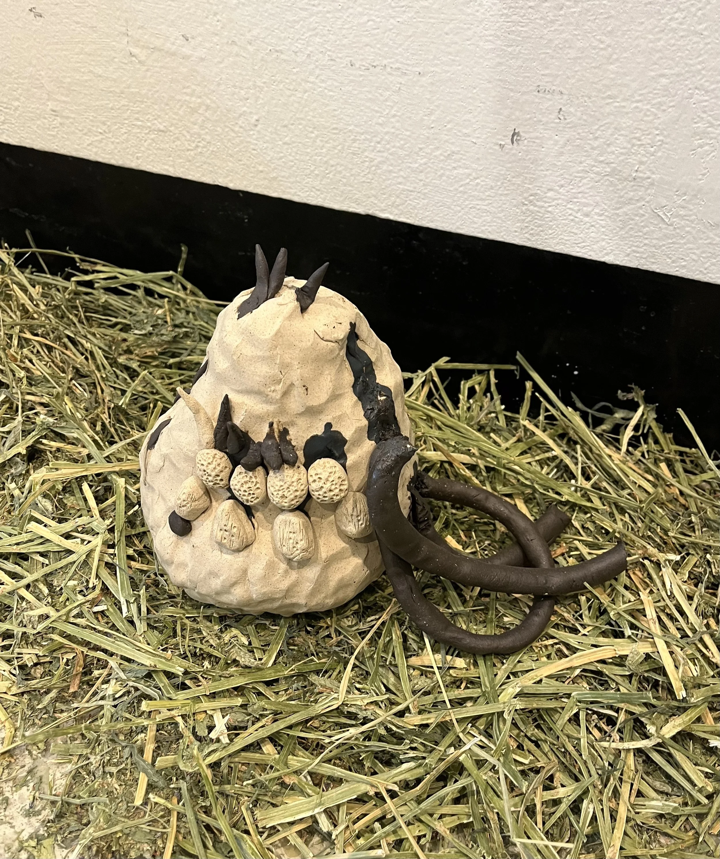 거미. 2022, 점토. 270x180x160mm.jpeg