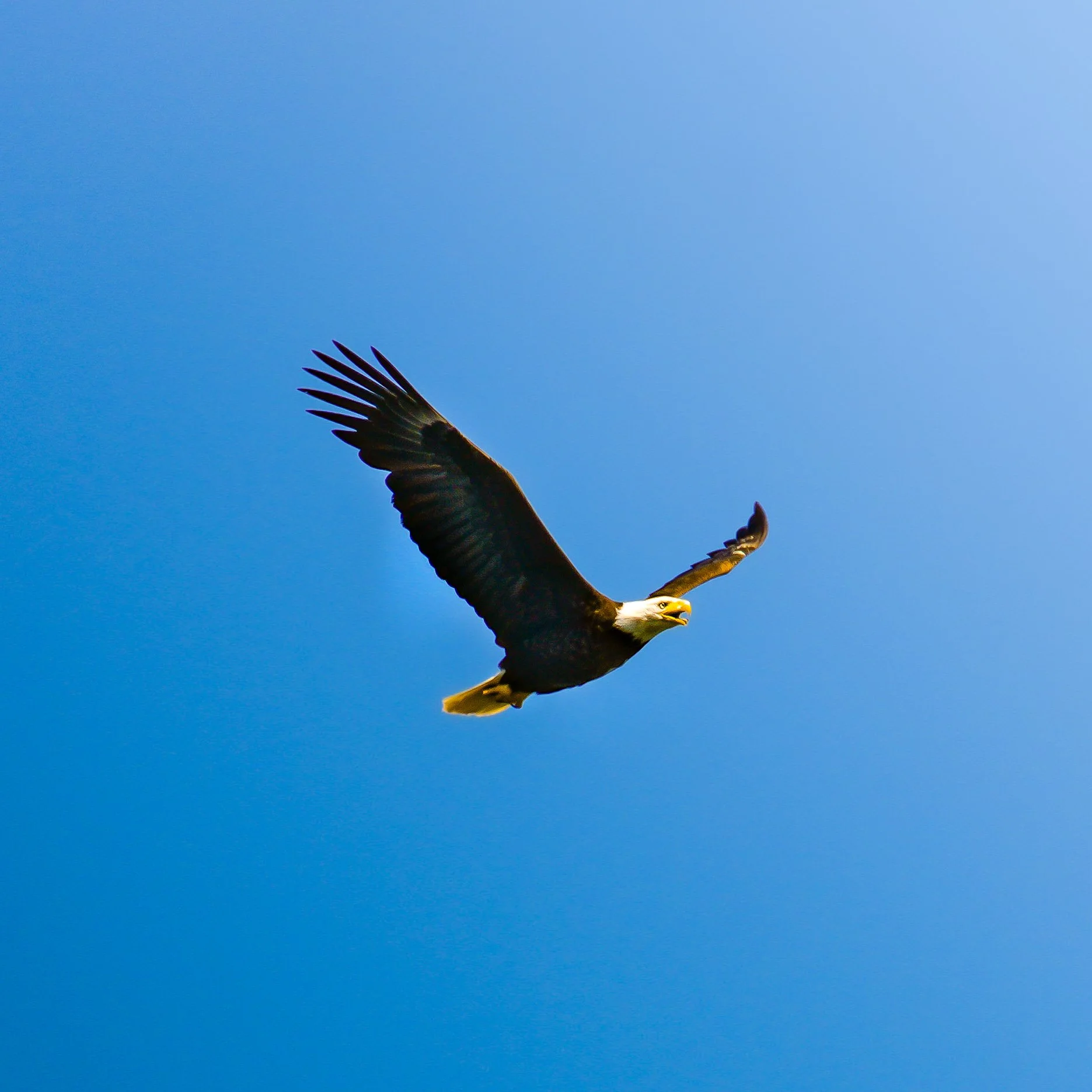 IMG_8802.JPG