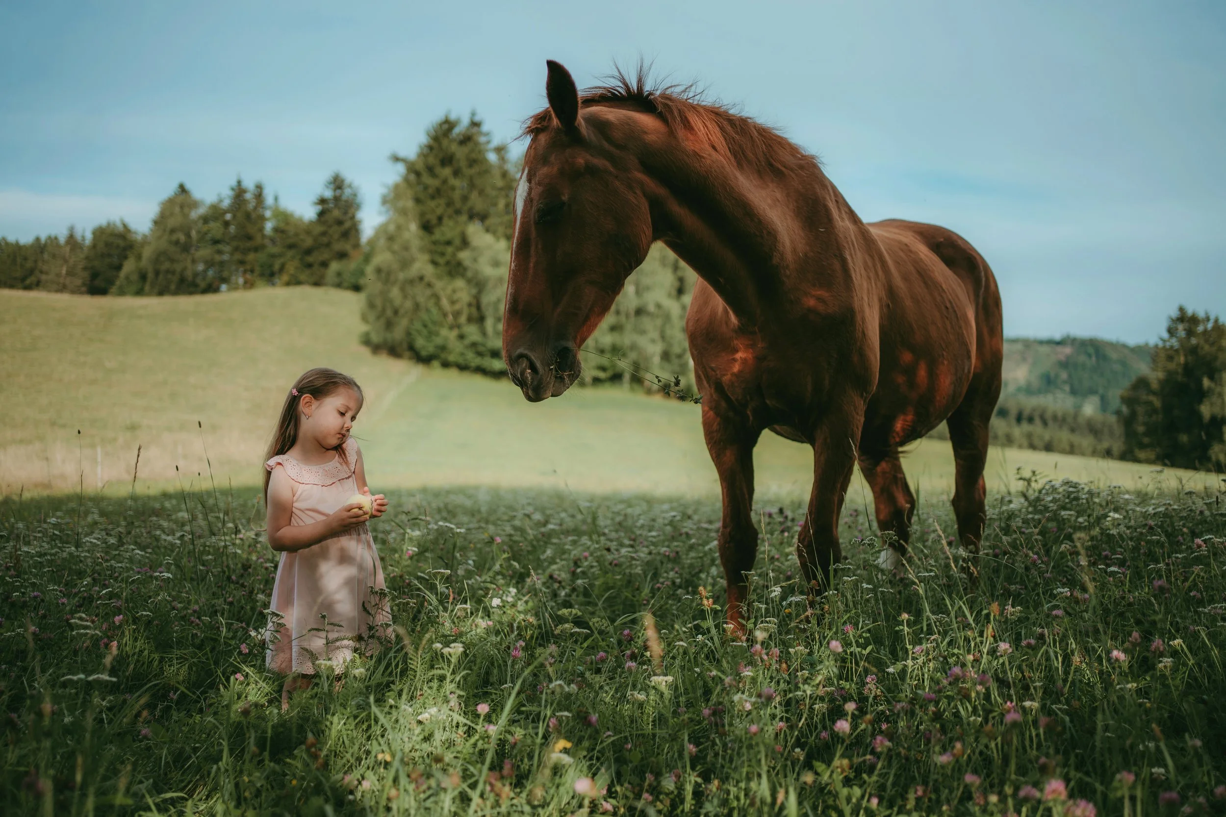 Levada - Nikola fotografka  (9).jpg
