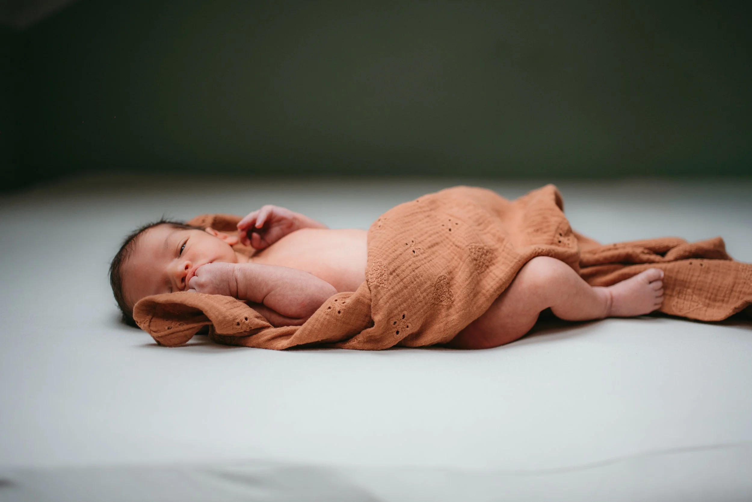 K+M+S - Nikola fotografka (5).jpg