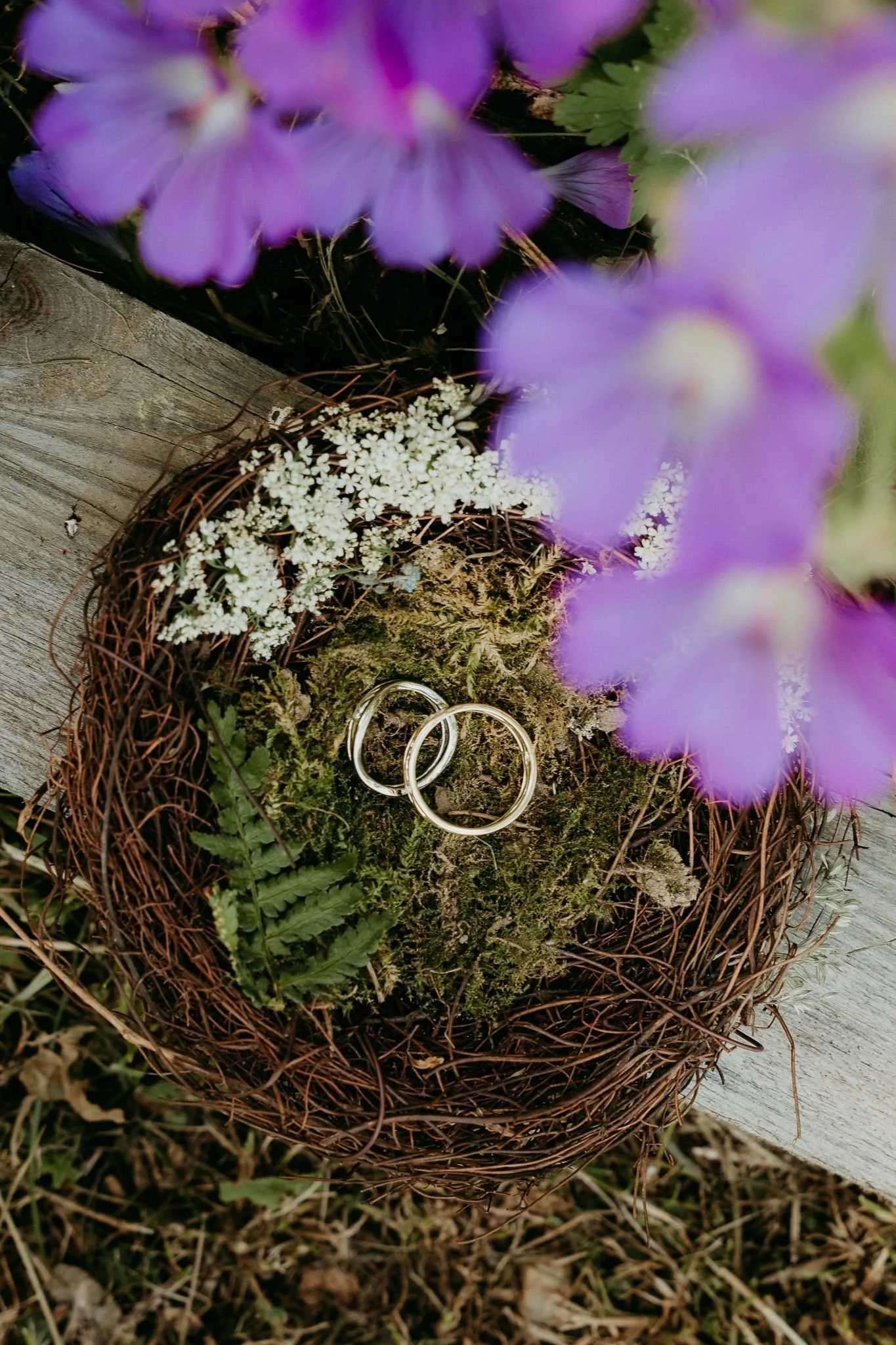 přípravy a výzdoba (7).jpg