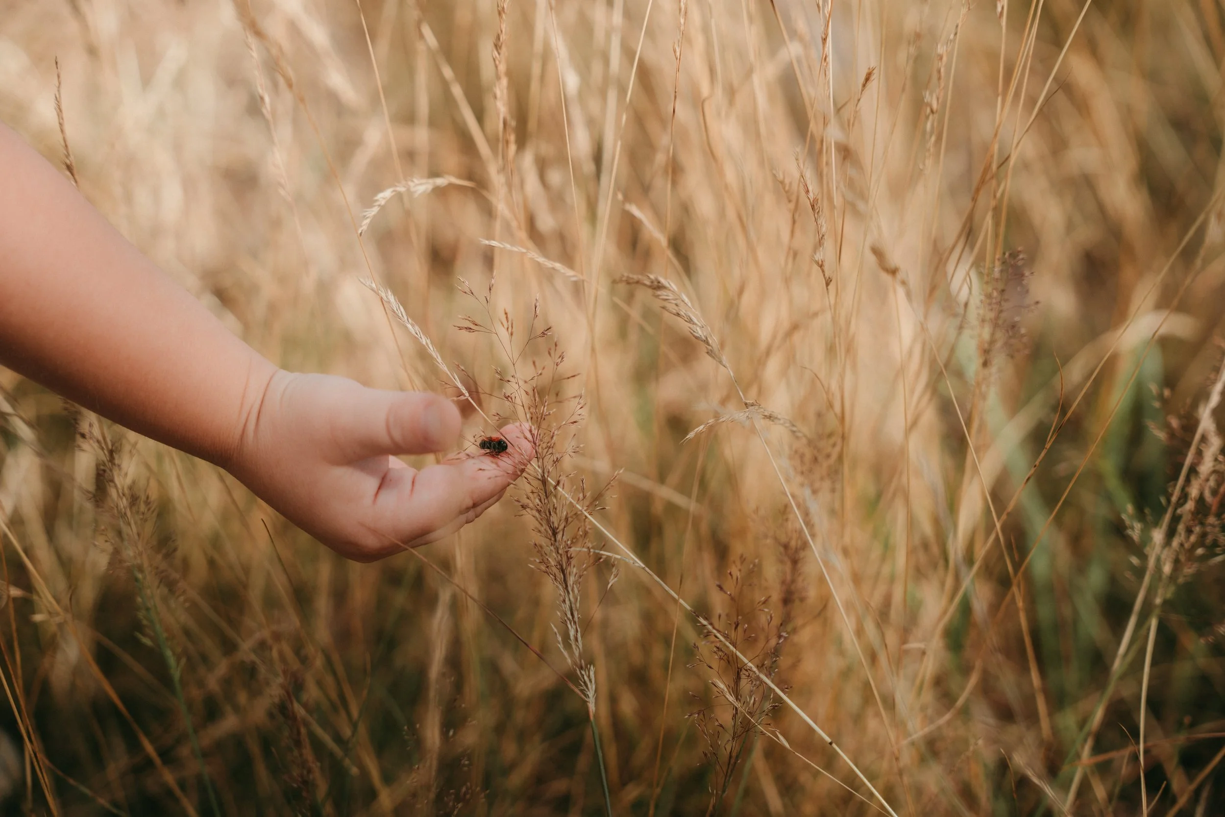 rodinné 2025 - Nikola fotografka (4).jpg