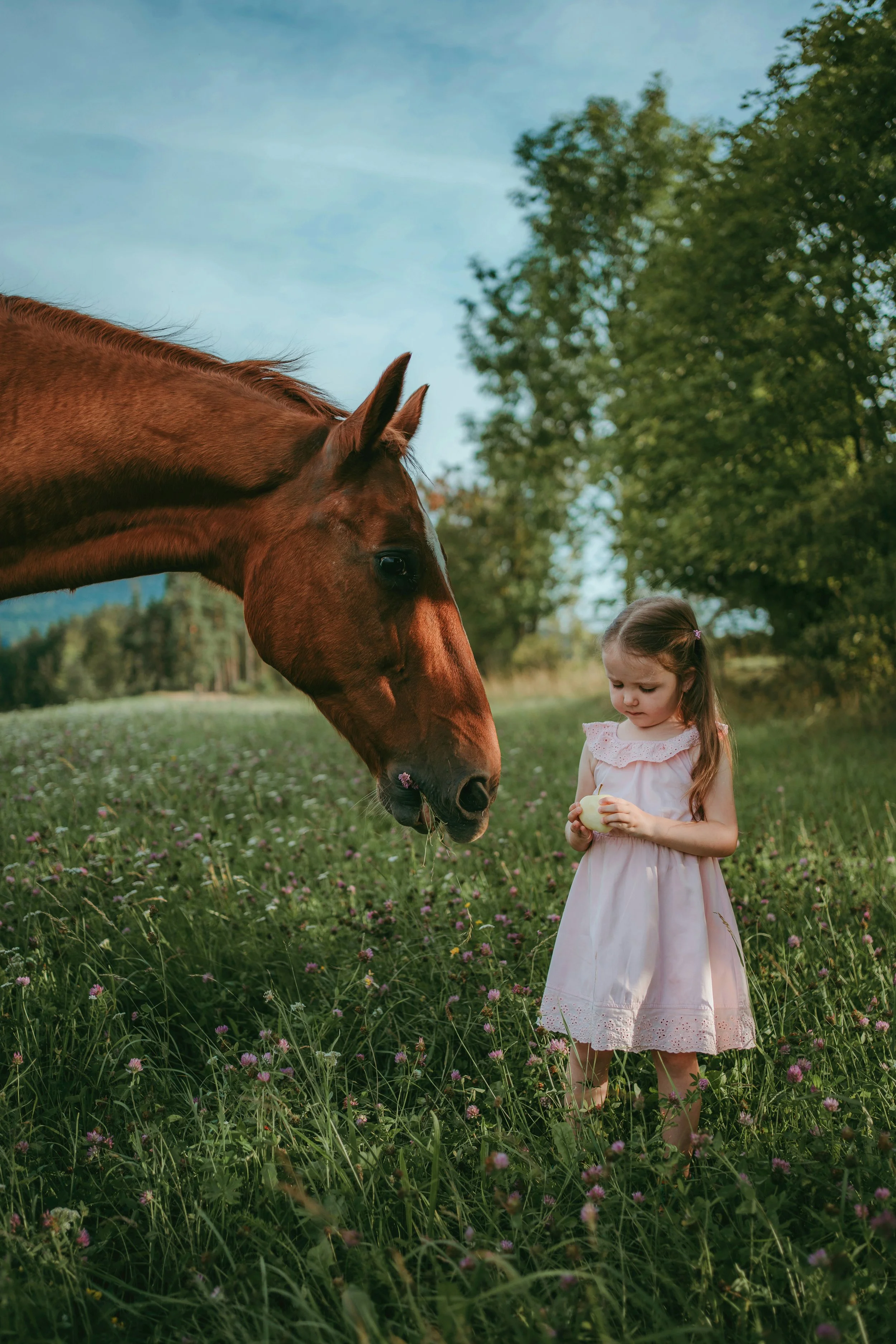 Levada - Nikola fotografka  (15).jpg