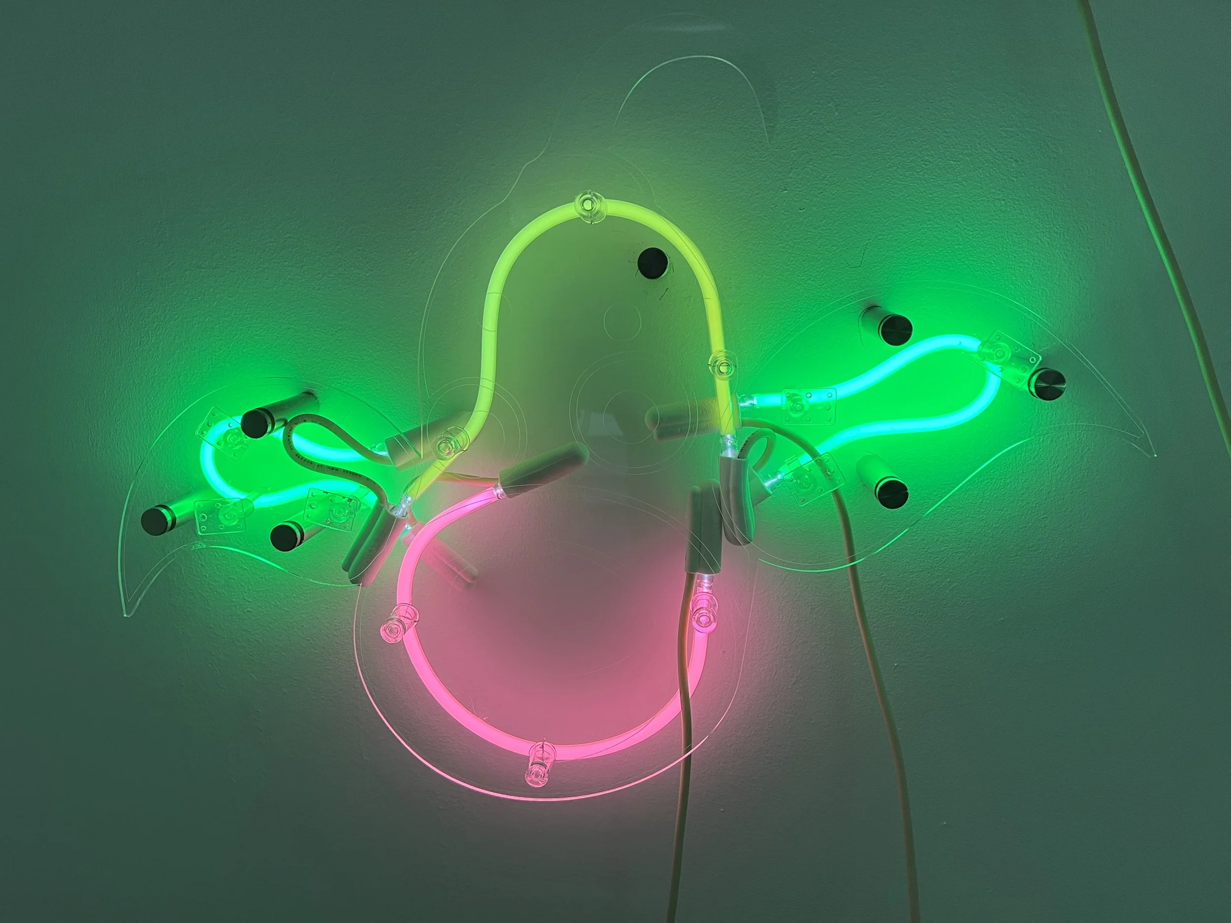 Tri - Who's That Pokémon?! It's Weepinbell!.jpg