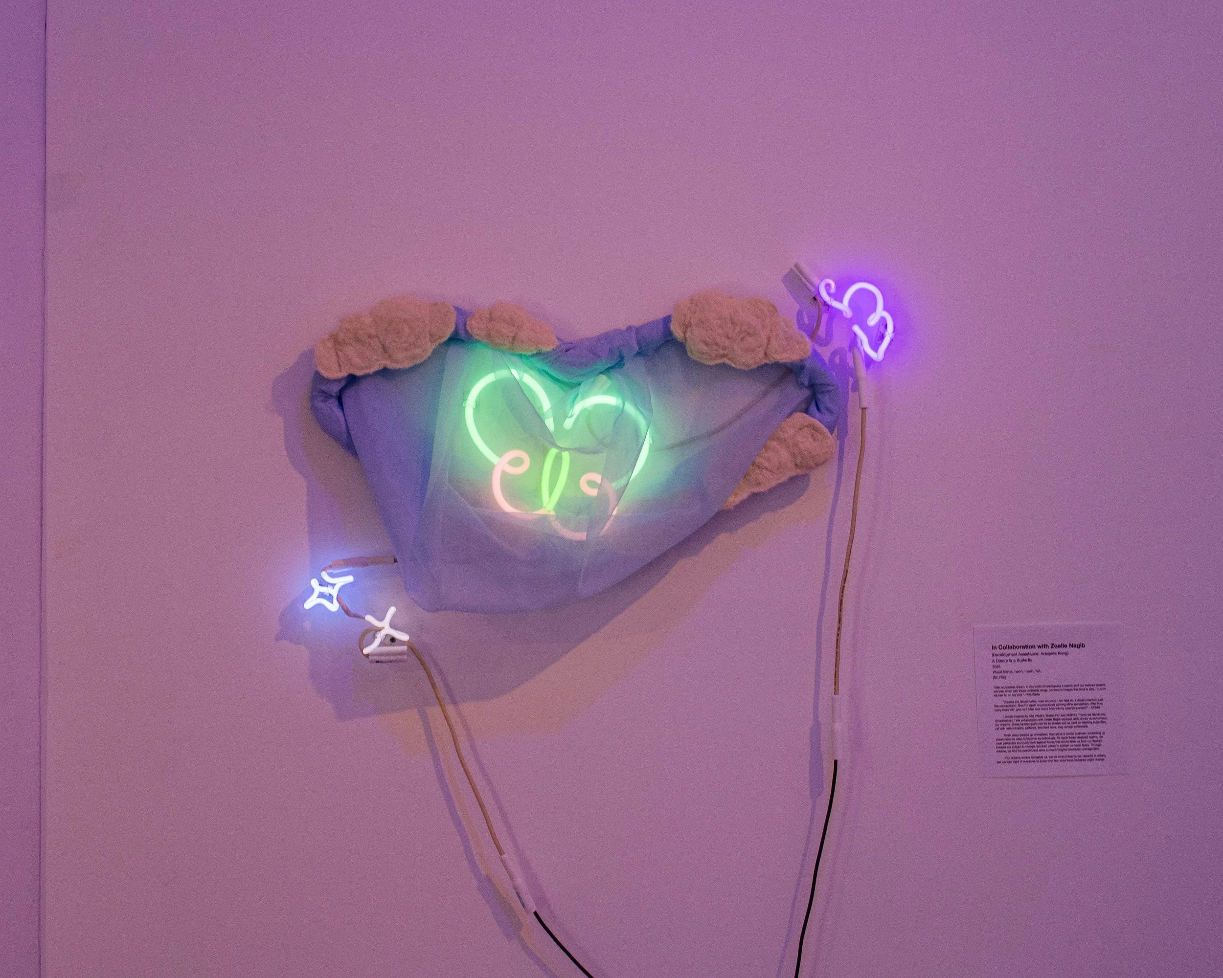 In collaboration with Zoelle Nagib
A Dream is a Butterfly
2025

"After an endless dream, in this world of nothingness it seems as if our beloved dreams will lose. Even with these unreliable wings, covered in images that tend to stay, I'm sure we can 