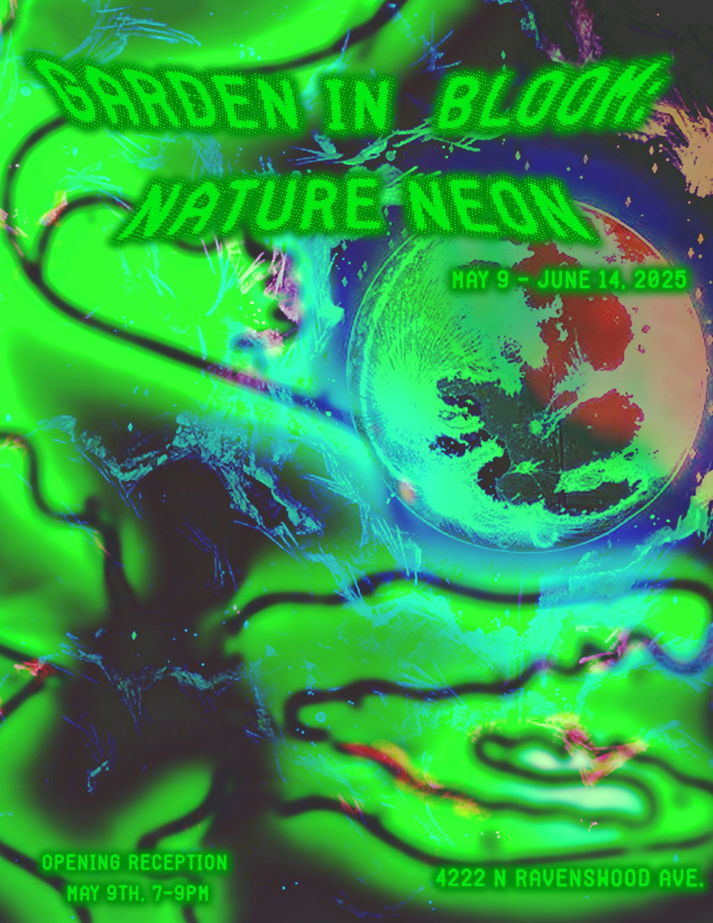 Garden in Bloom 2.jpg