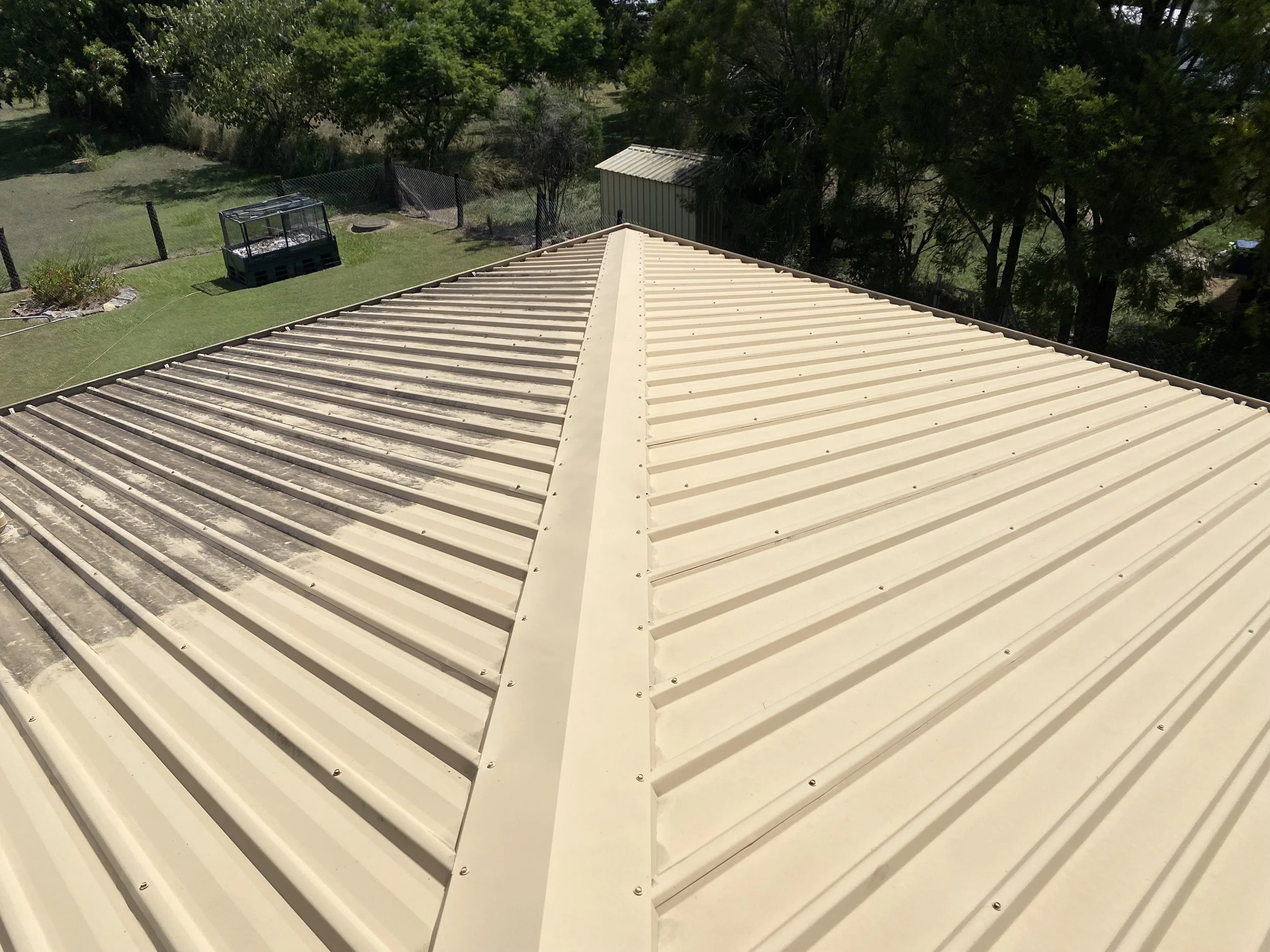 Photo of a beige metal roof with a ridge running down the center, surrounded by green trees and a backyard with a fenced area and a small shed.