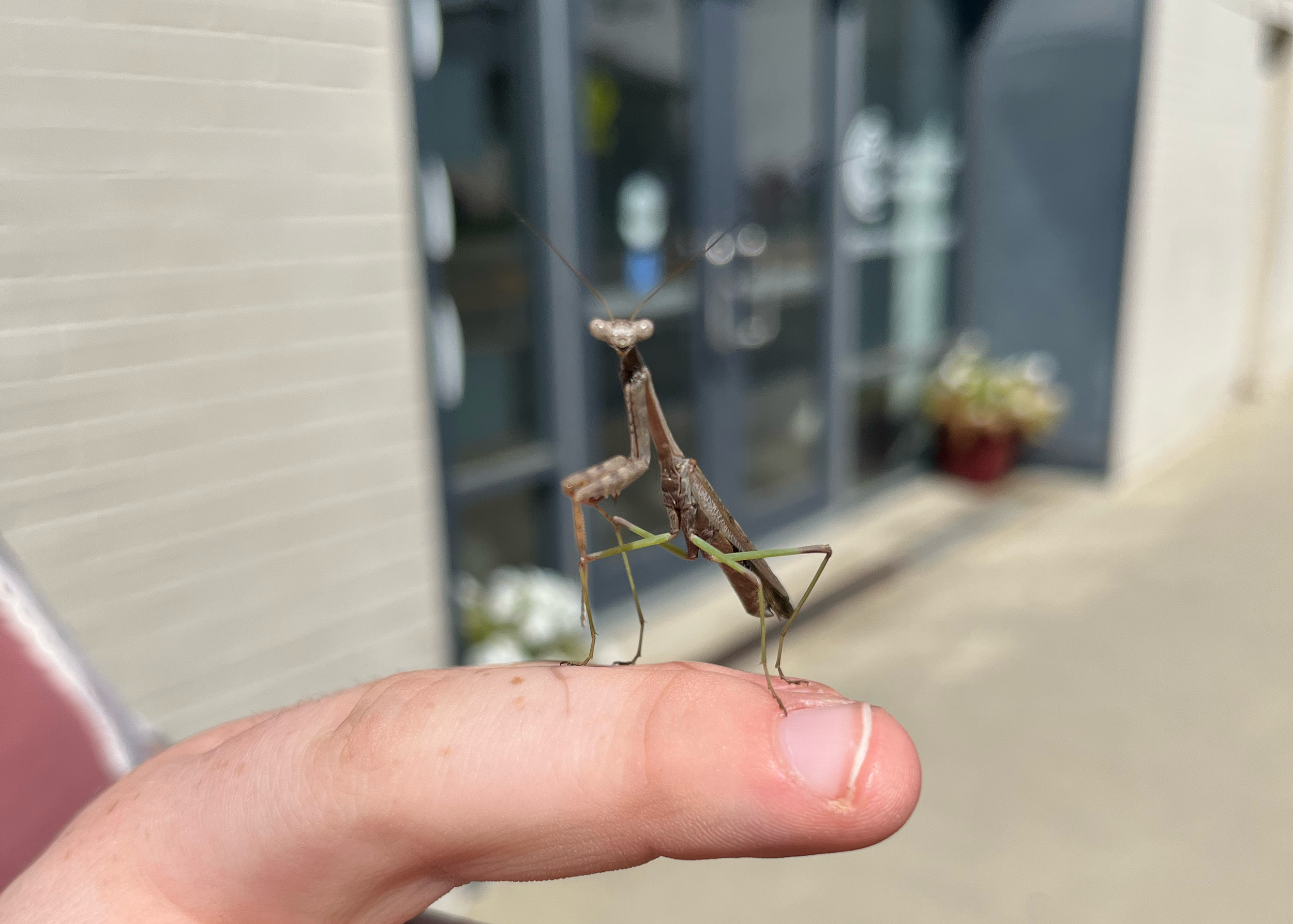 P-11.png