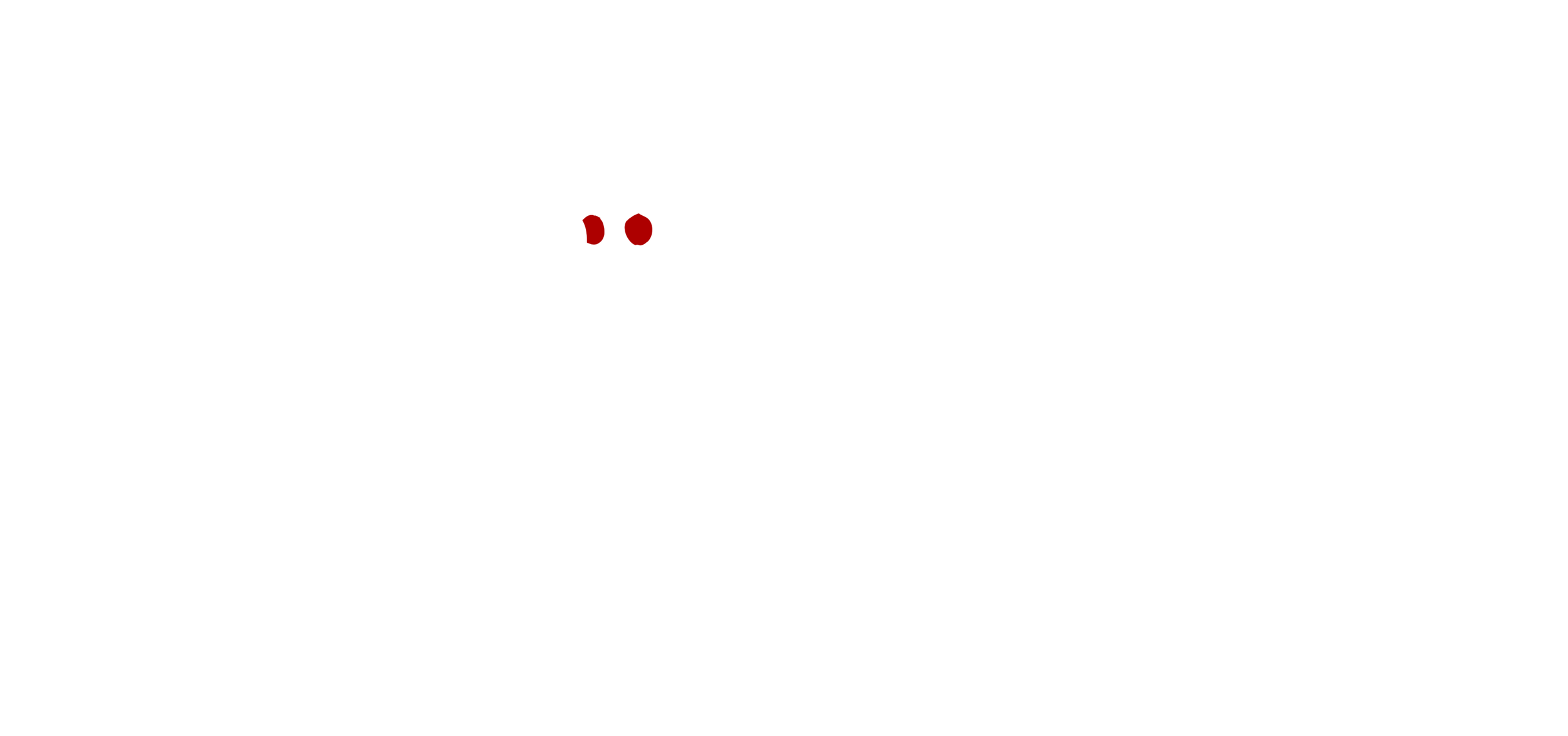 Visual Explorations copy.png