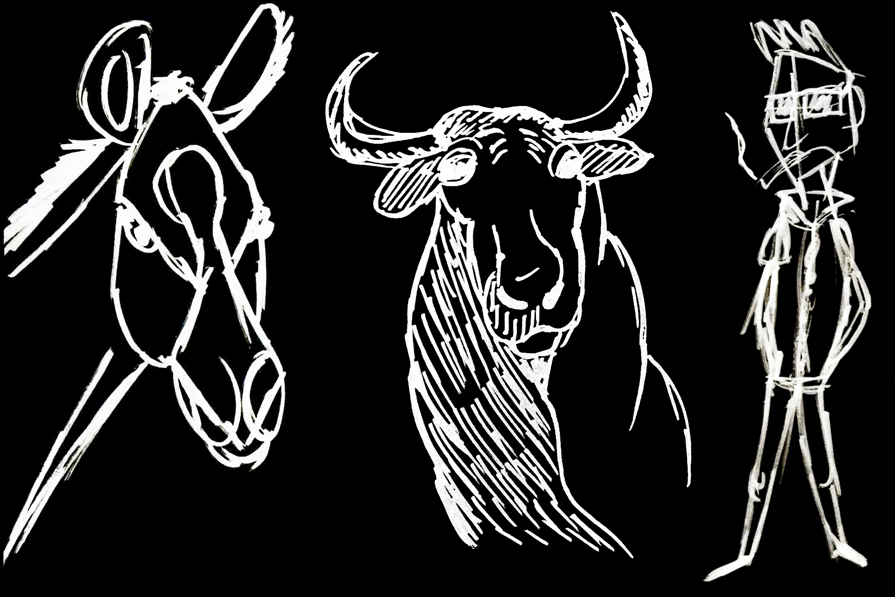 Sketches.png
