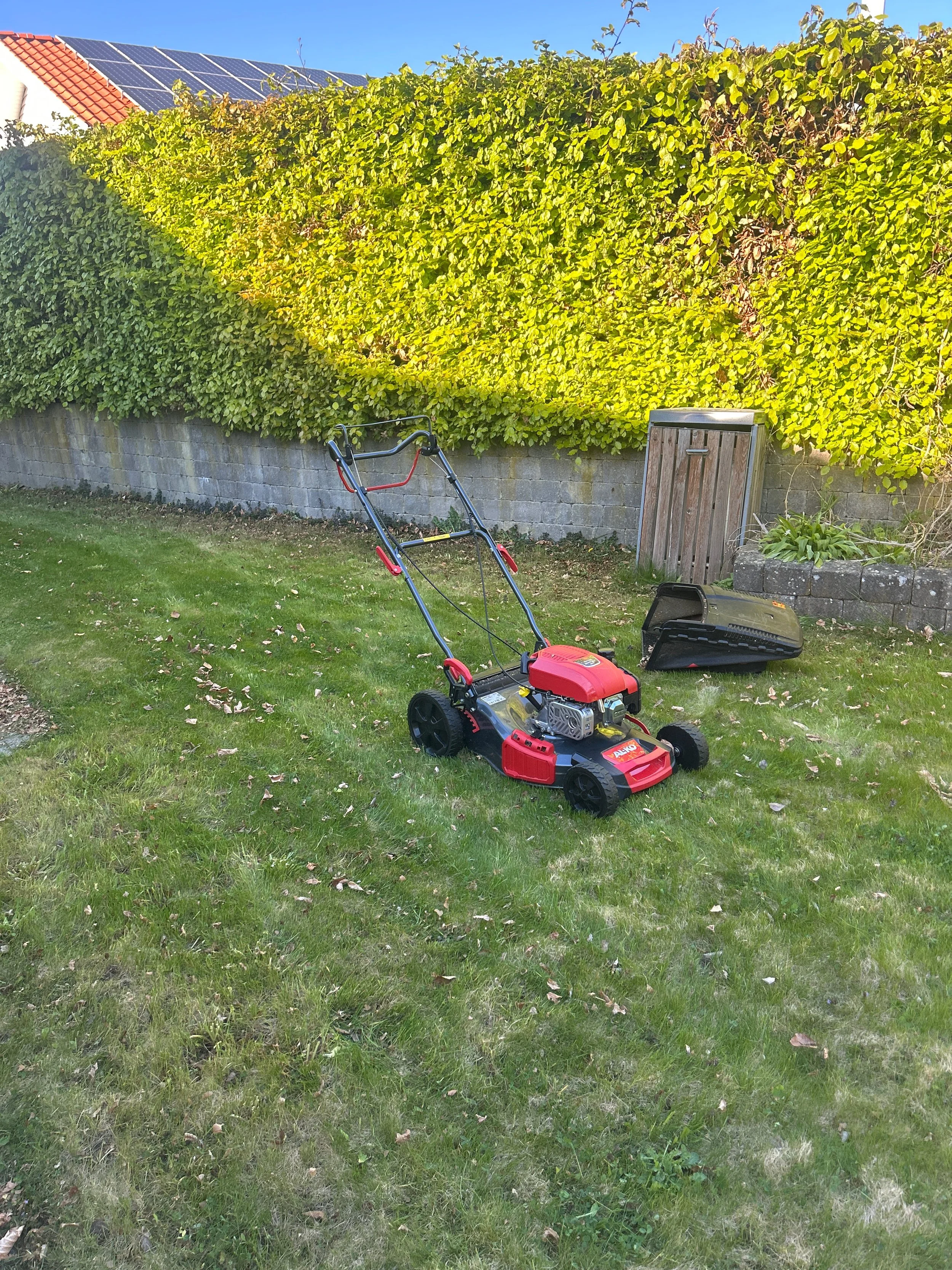 image1 (10).jpeg