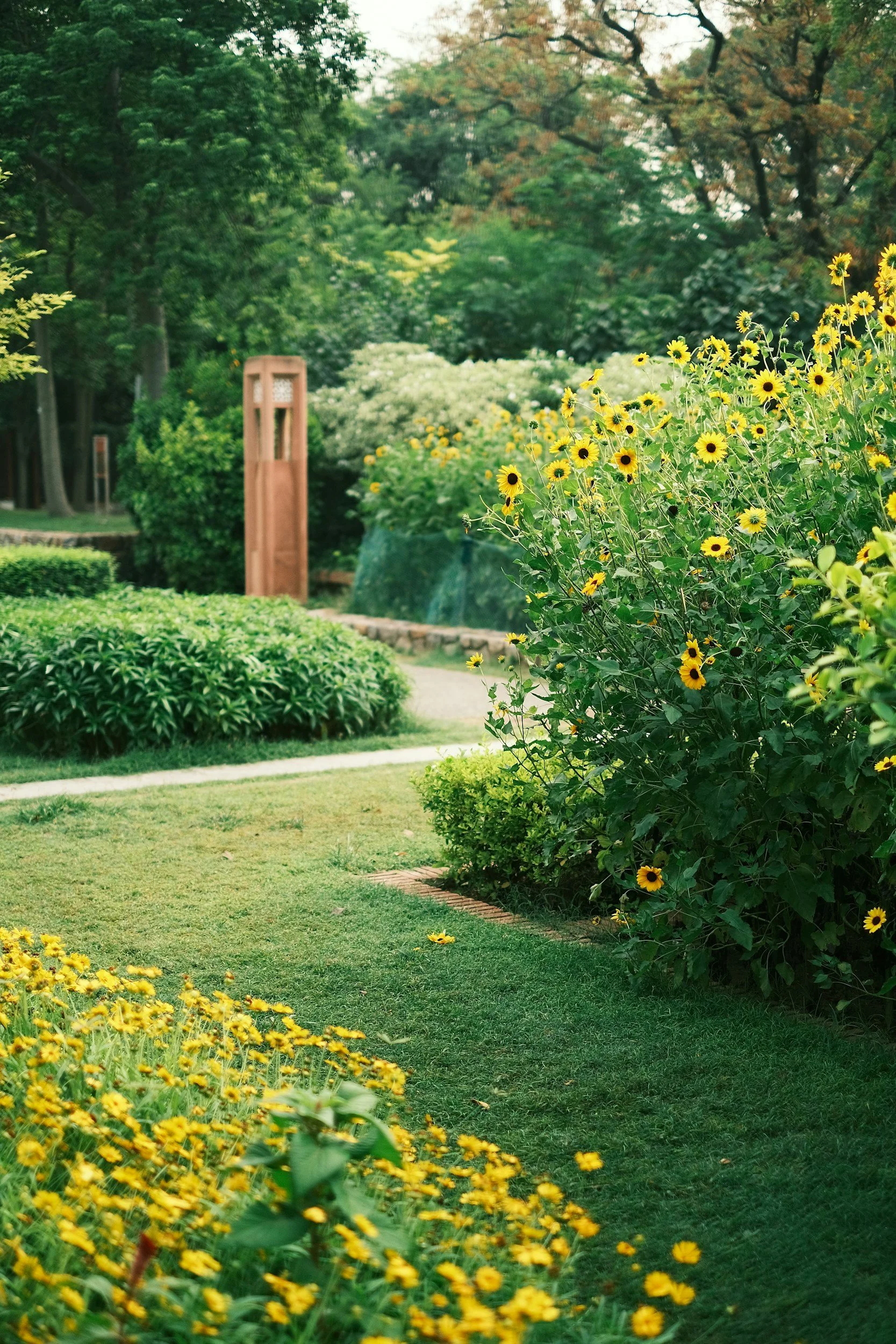 A lush garden with yellow flowers, green bushes, and trees, with a gravel walking path and a wooden sculpture or sign in the background.