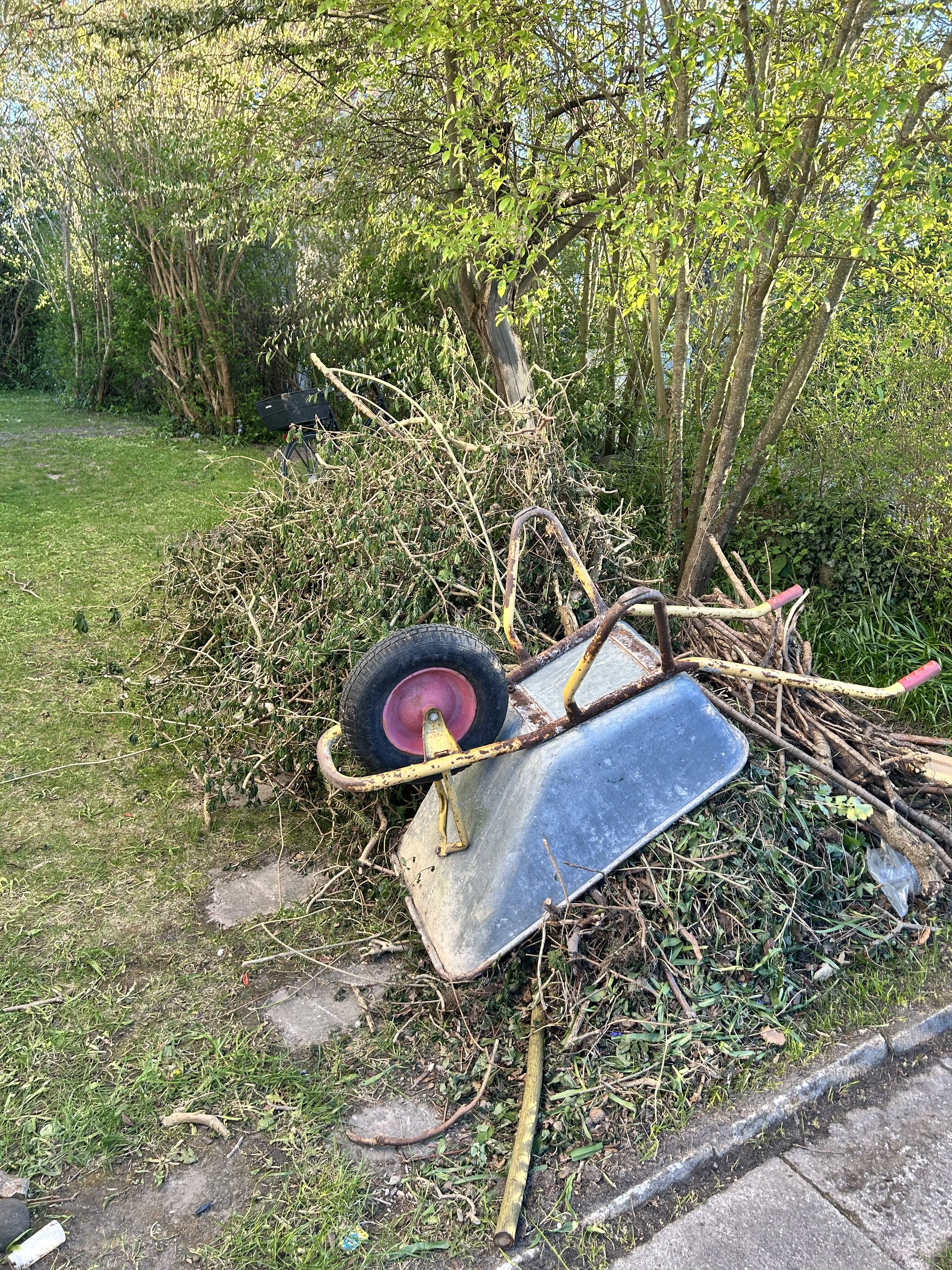 image0 (3).jpeg
