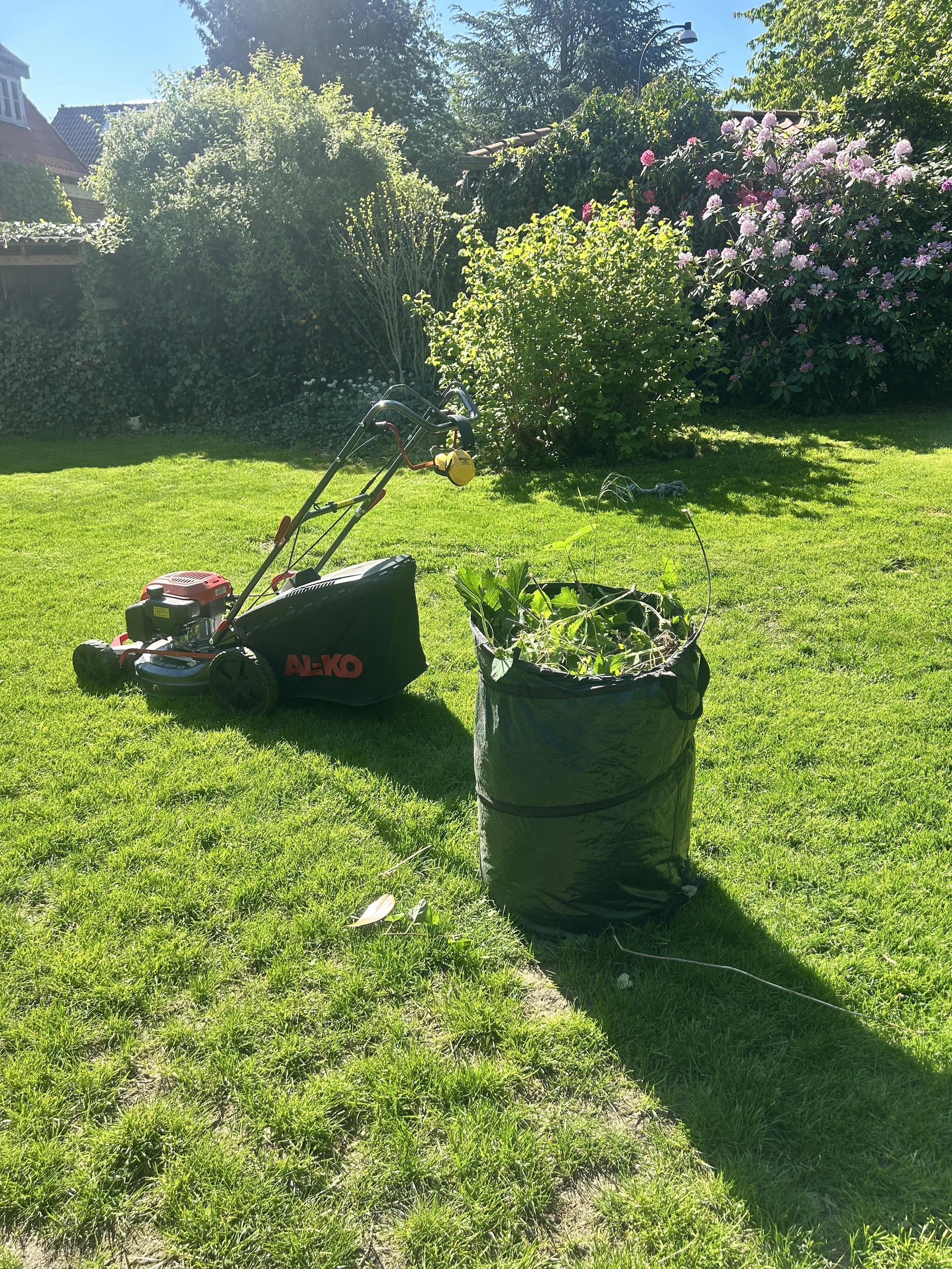 image1 (2).jpeg