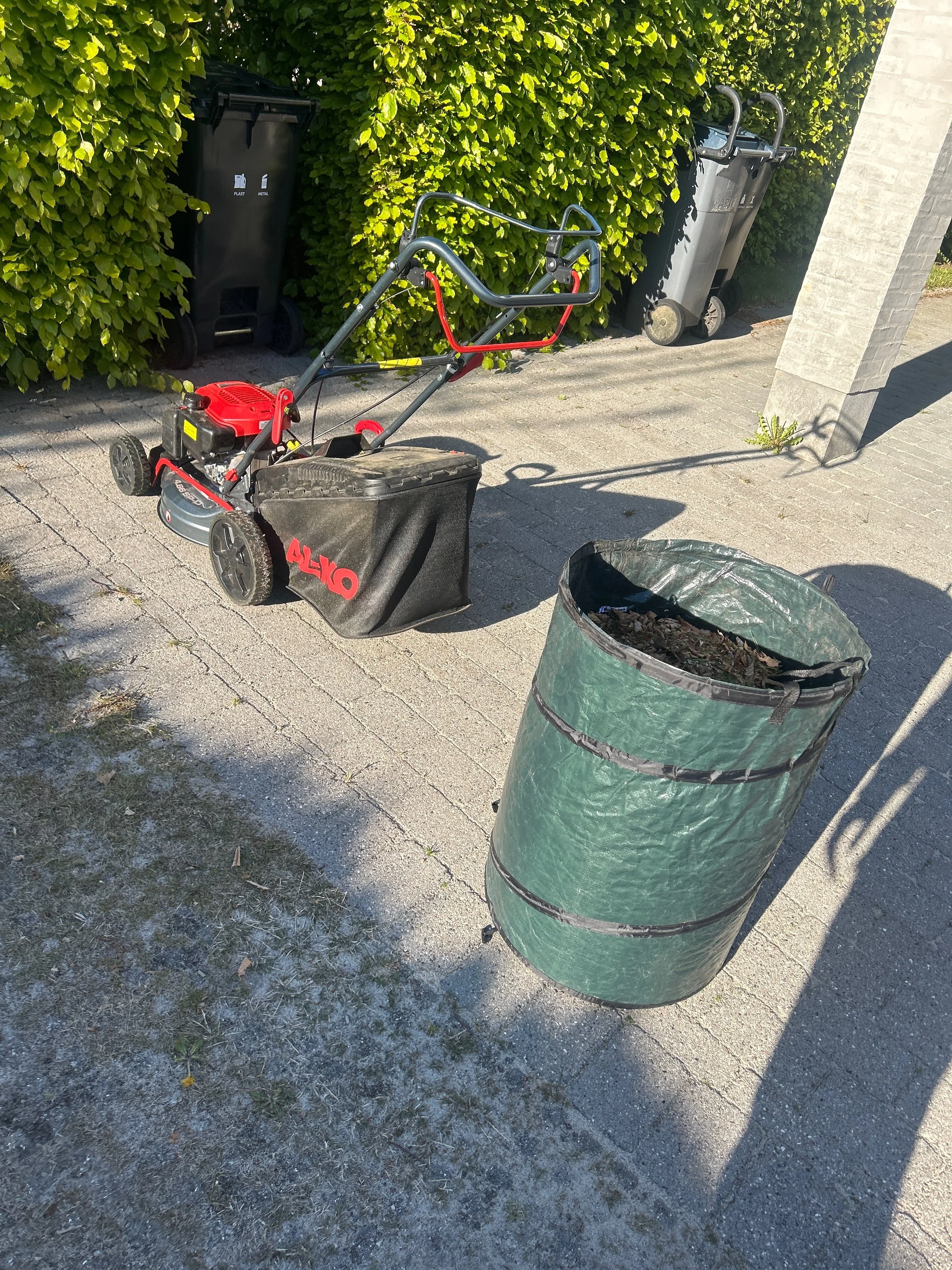 image1 (9).jpeg