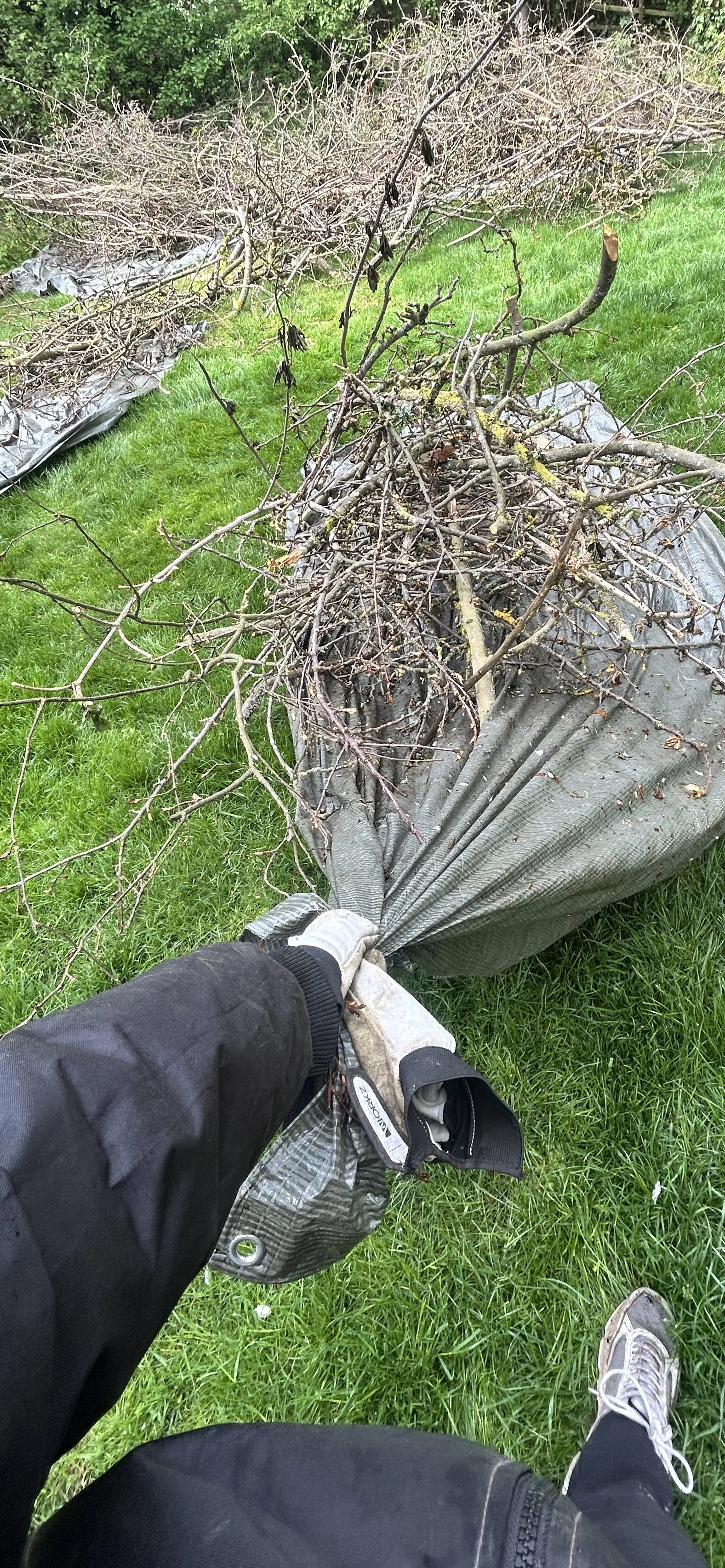 image1 (3).jpeg