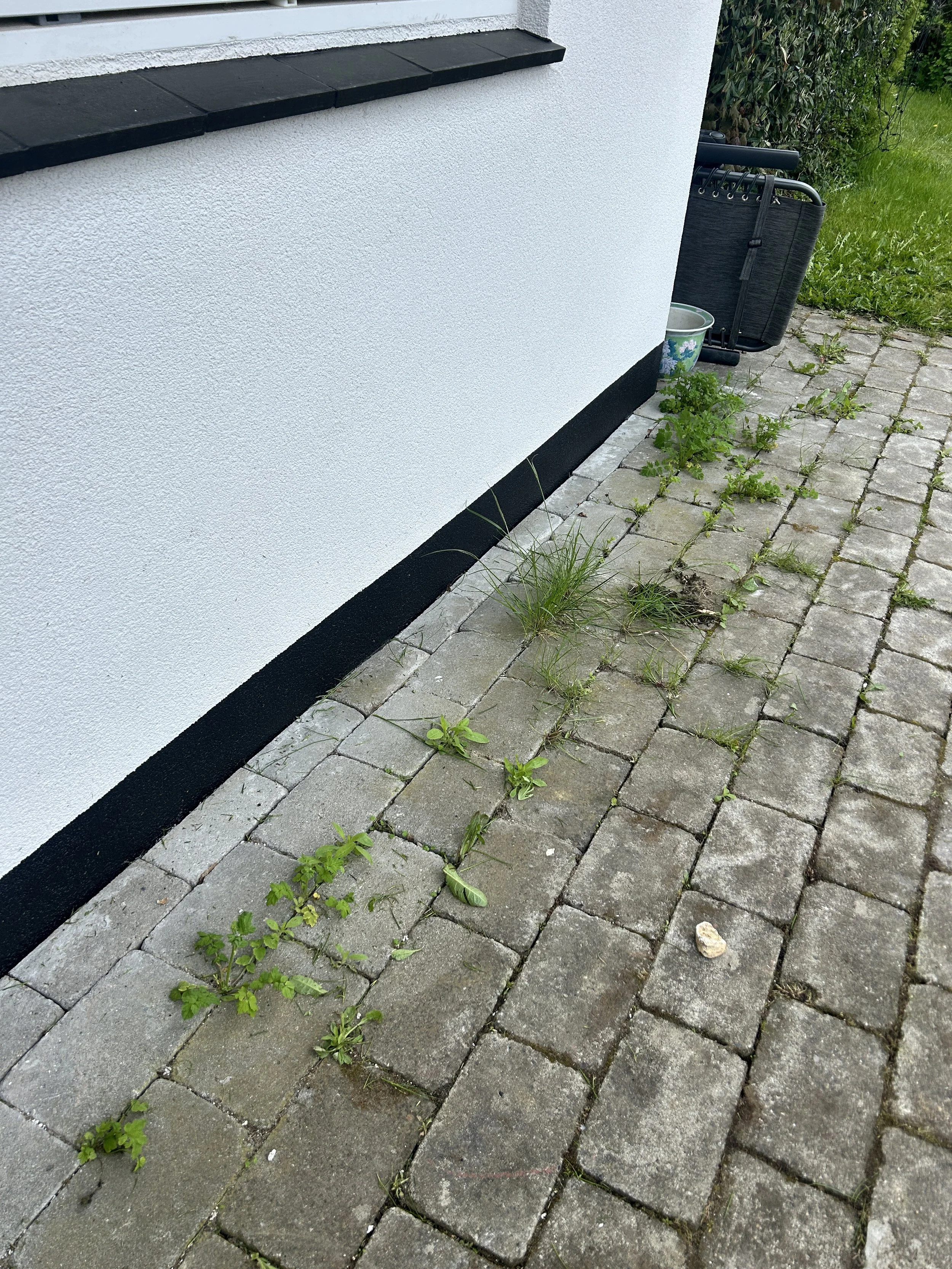 image1 (6).jpeg
