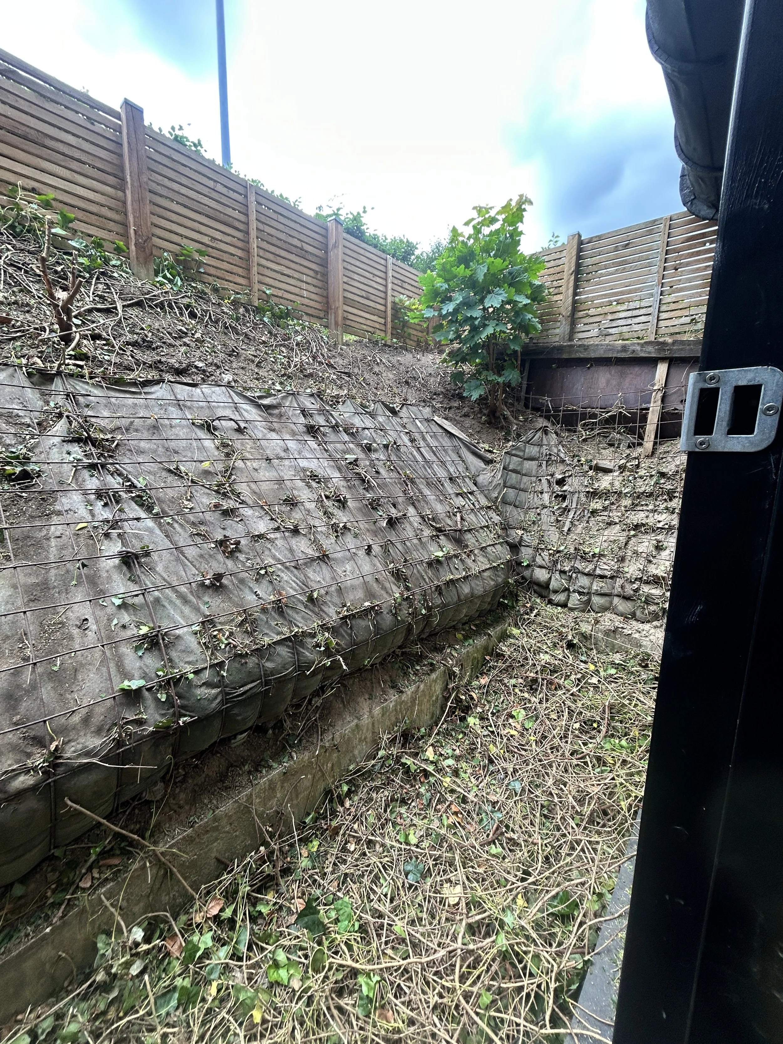 image1 (3).jpeg