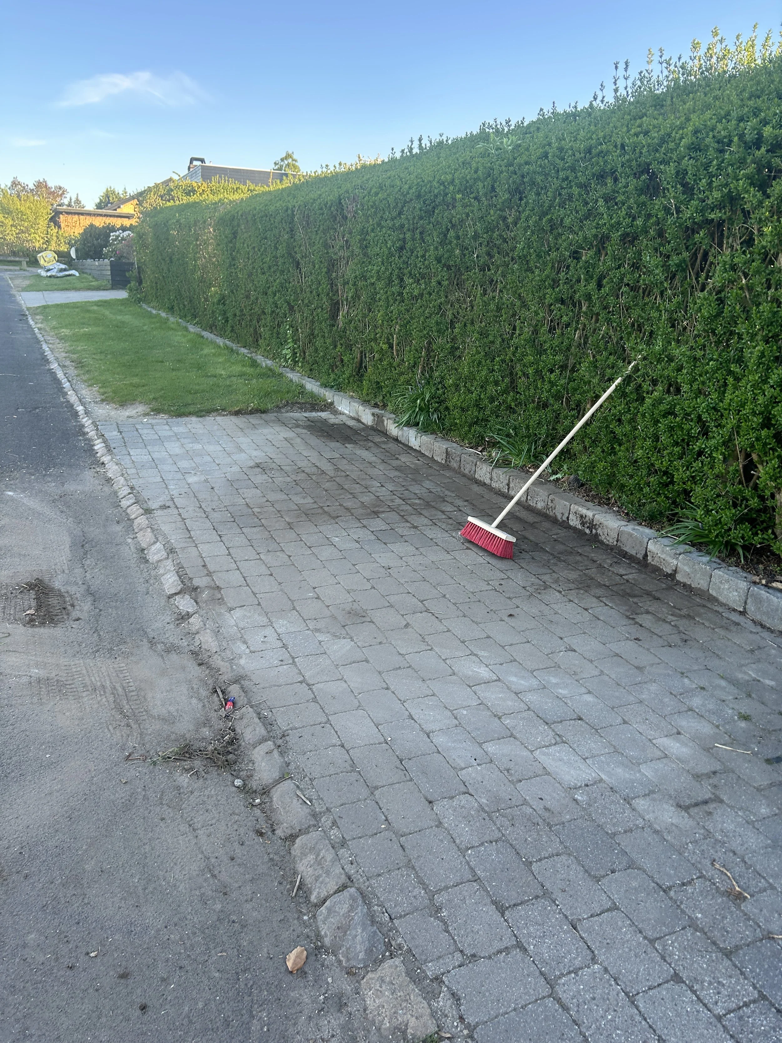 image1 (12).jpeg