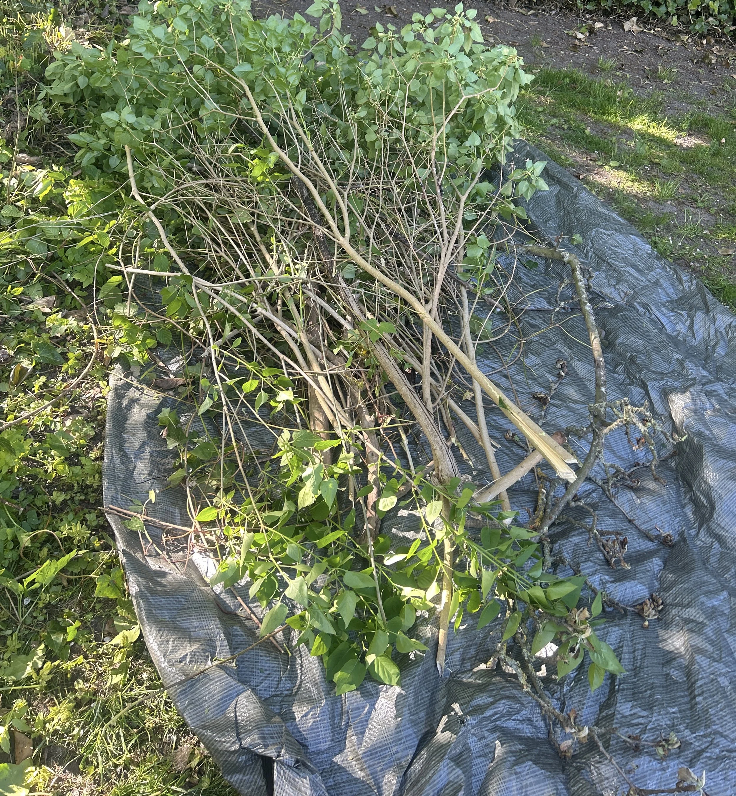 image0 (10).jpeg