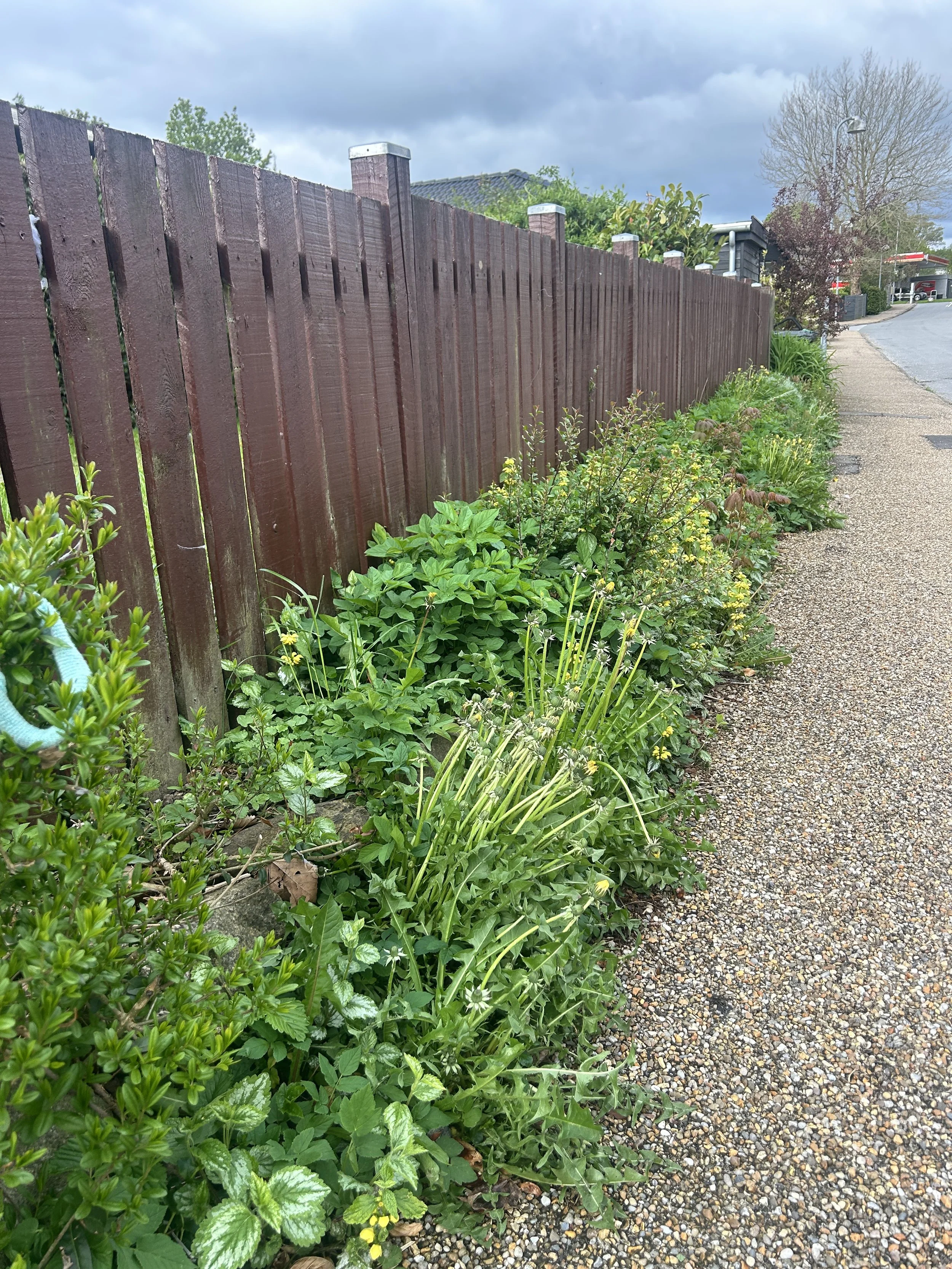 image1 (7).jpeg