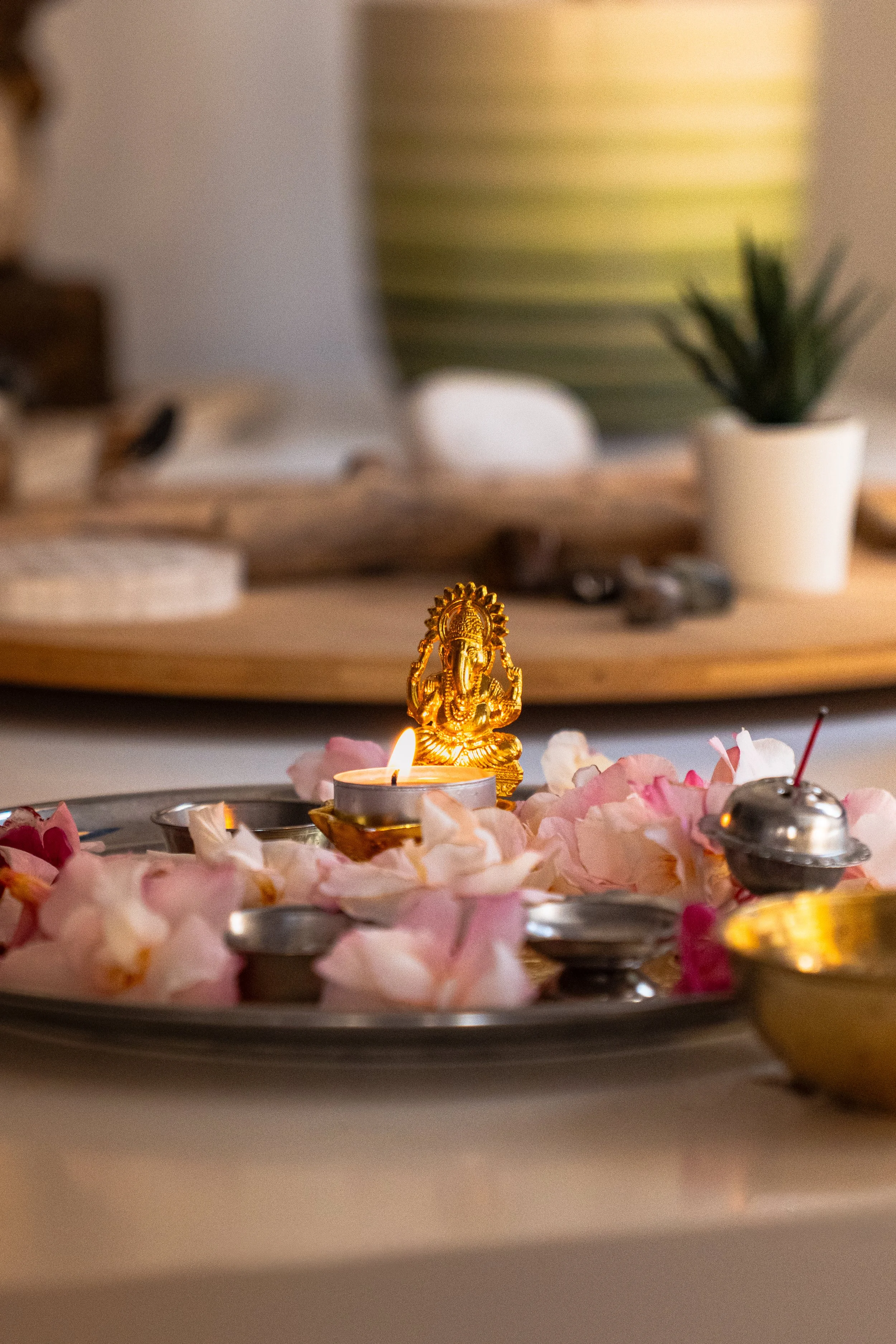 Objets décoratifs et accessoires disposés dans l’espace d’AyurVedhas34.