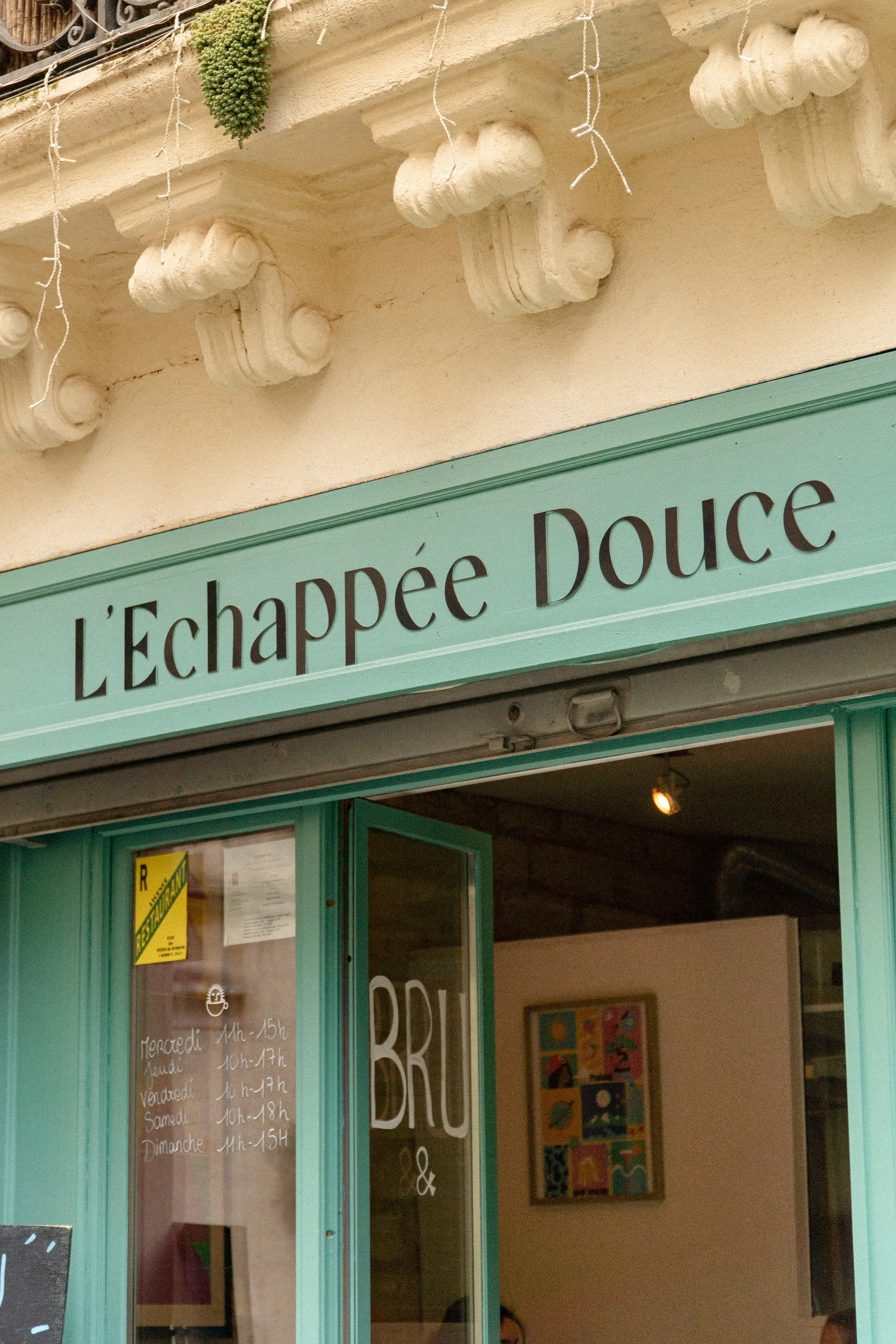 DSC09675.jpg