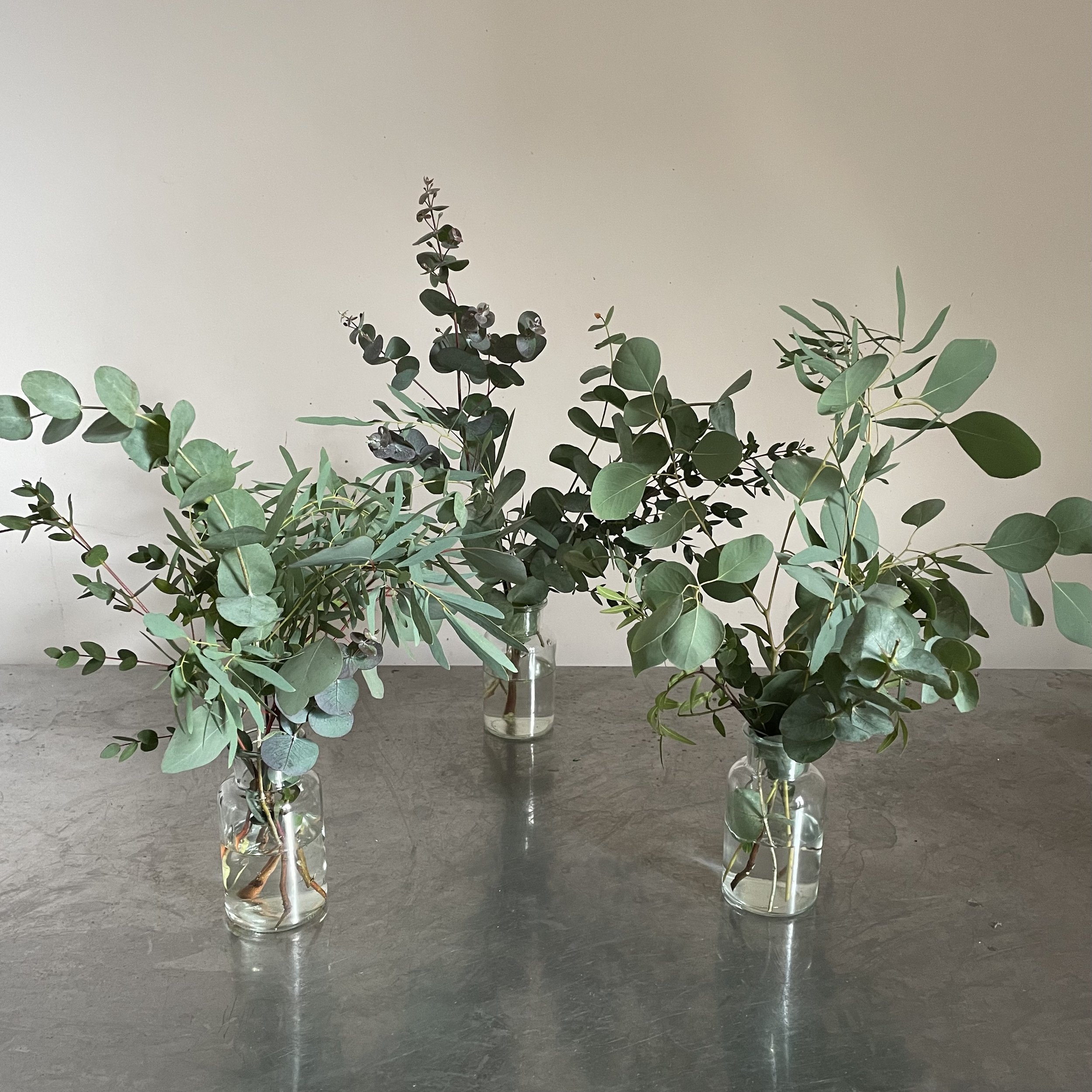Bud vase, 3-5 stems per vase, £12