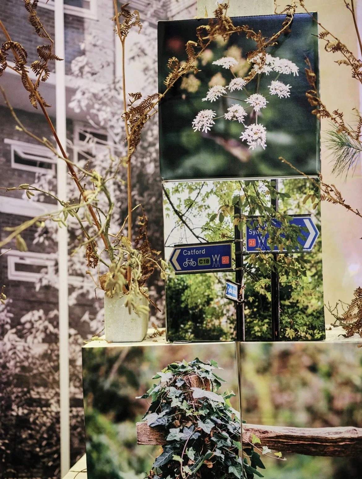 Behind the scenes at the Garden Museum 