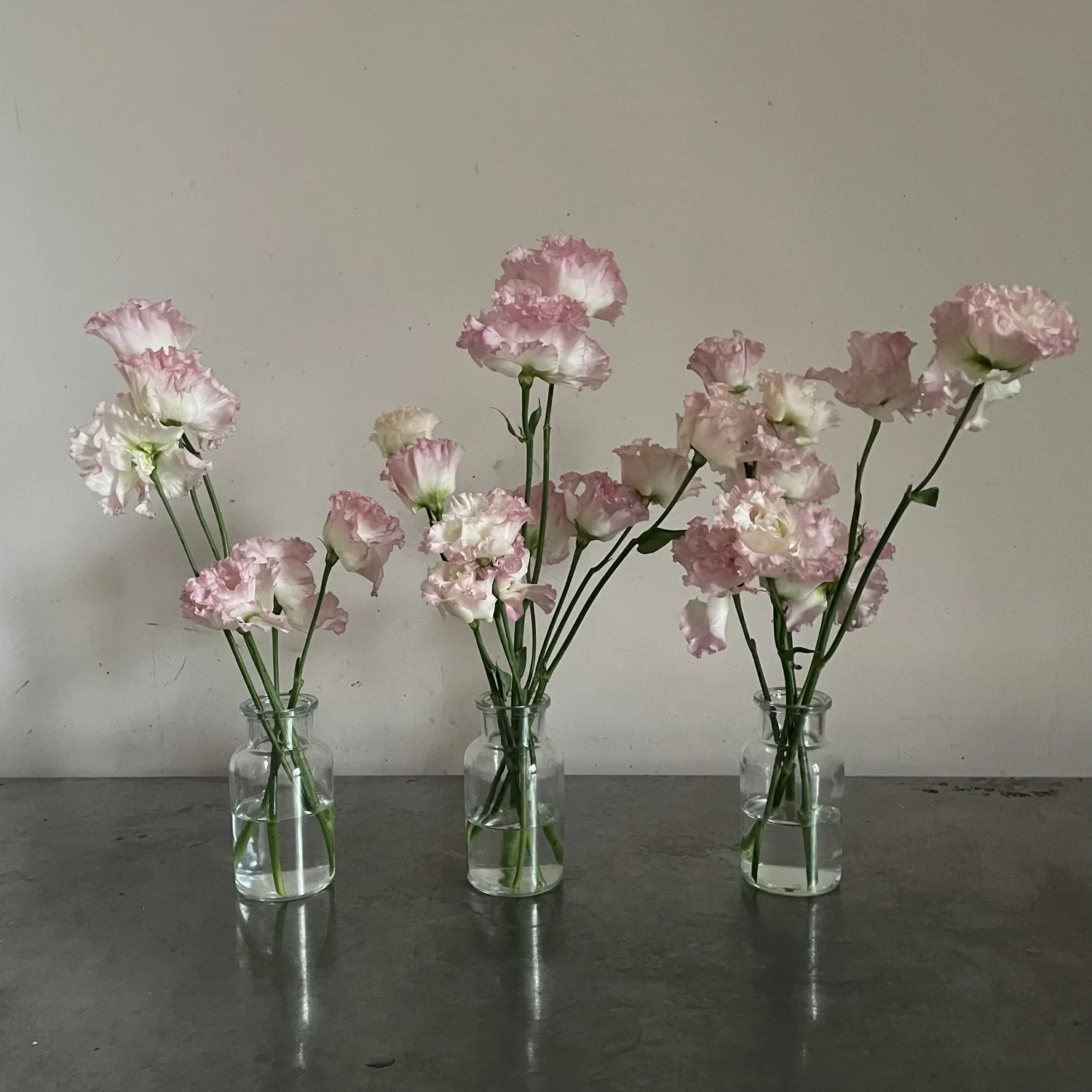 Bud vase, 3-5 stems per vase, £12