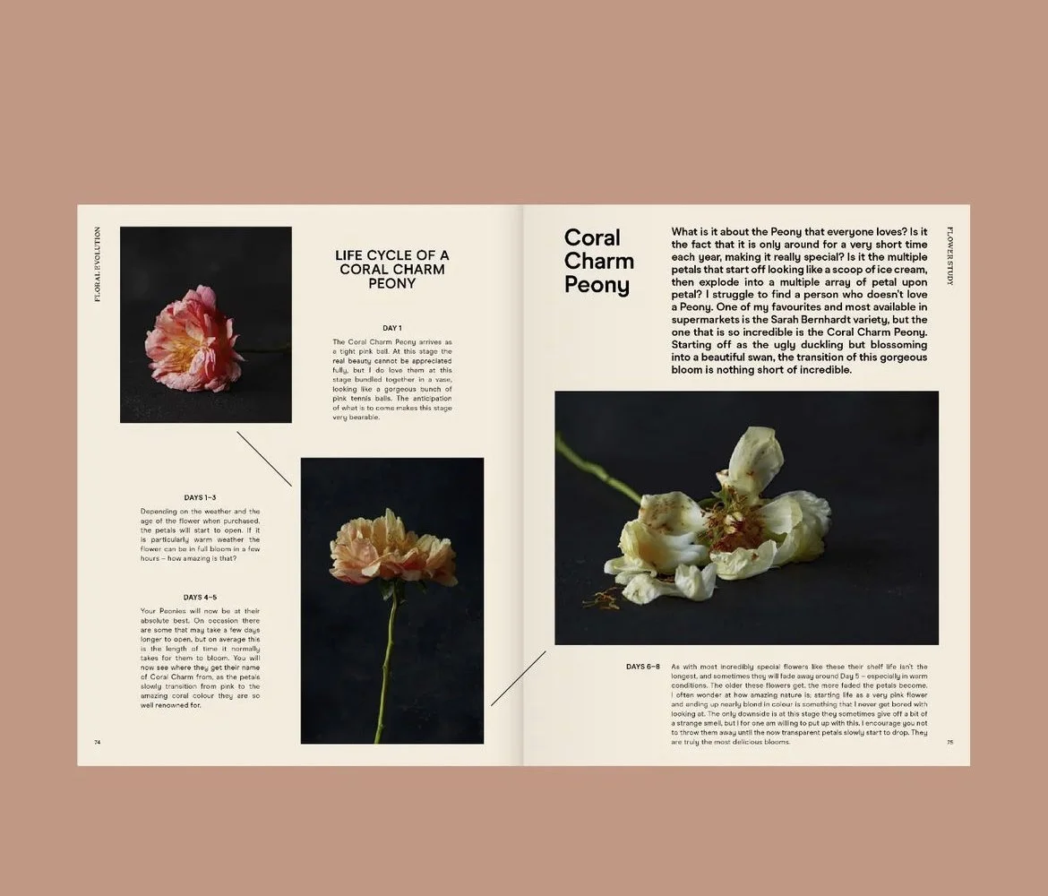 An open magazine displaying pages about a Coral Charm Peony, with photographs of the peony flower at different stages and descriptive text.