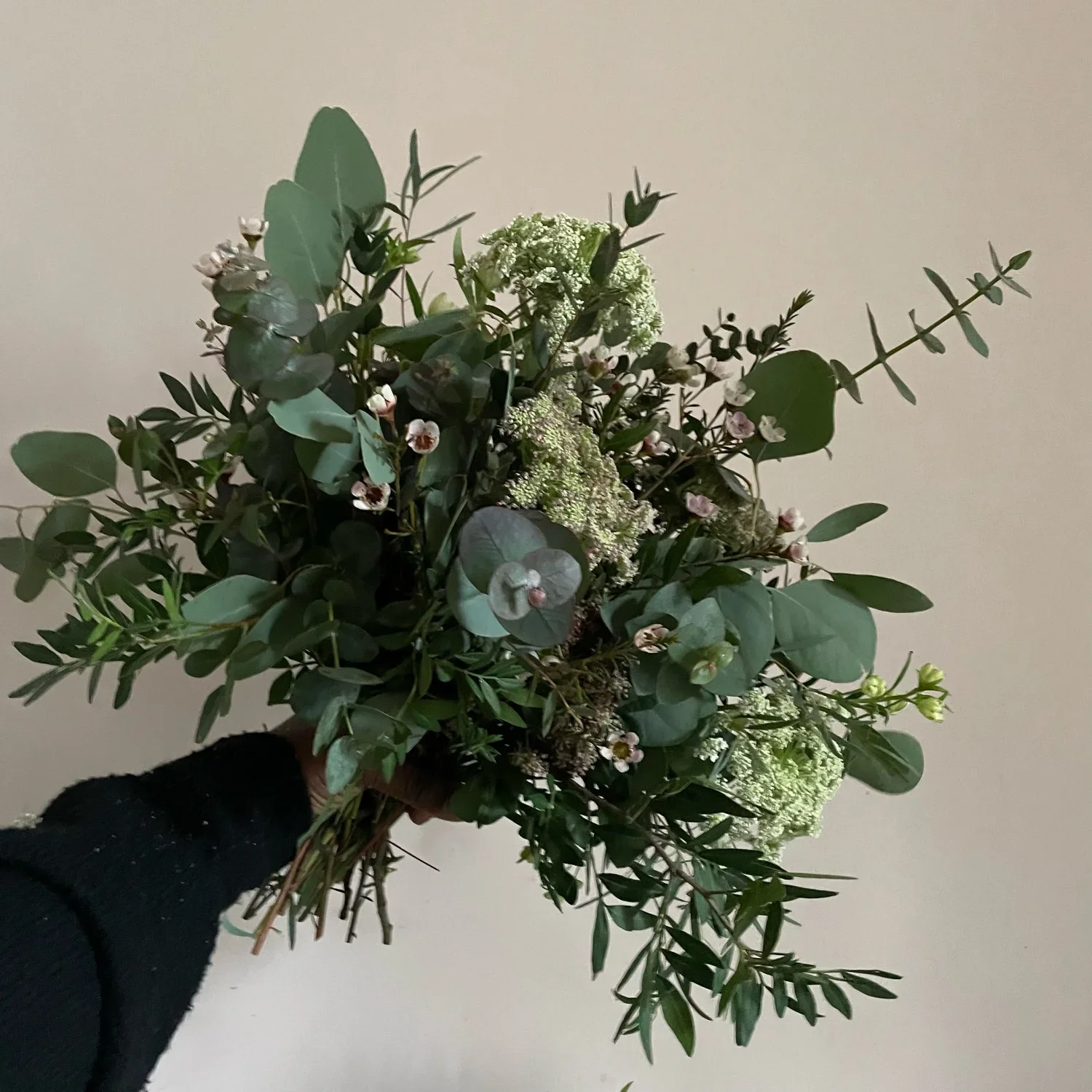 The foliage collection