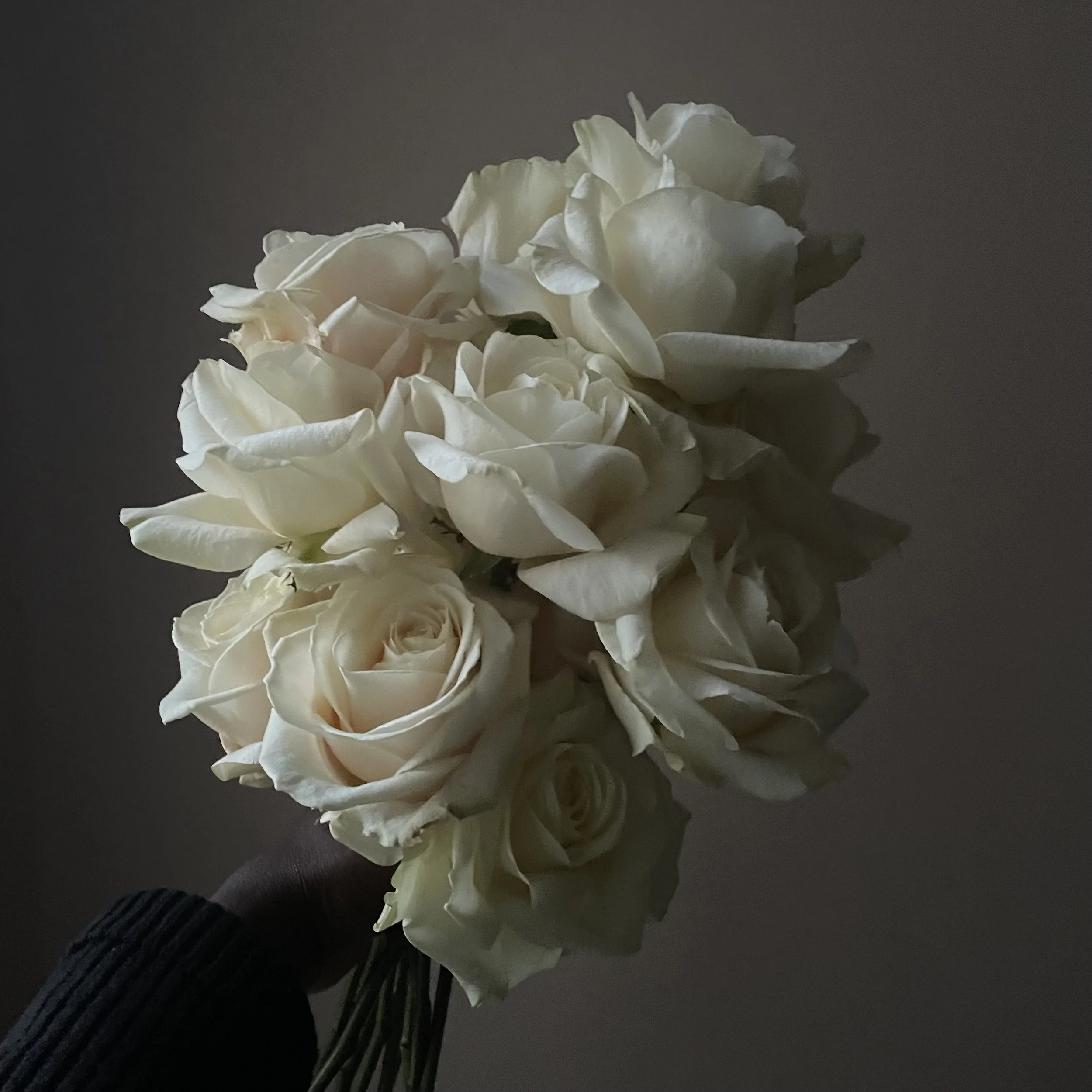 A bouquet of white roses with green stems on a dark background.