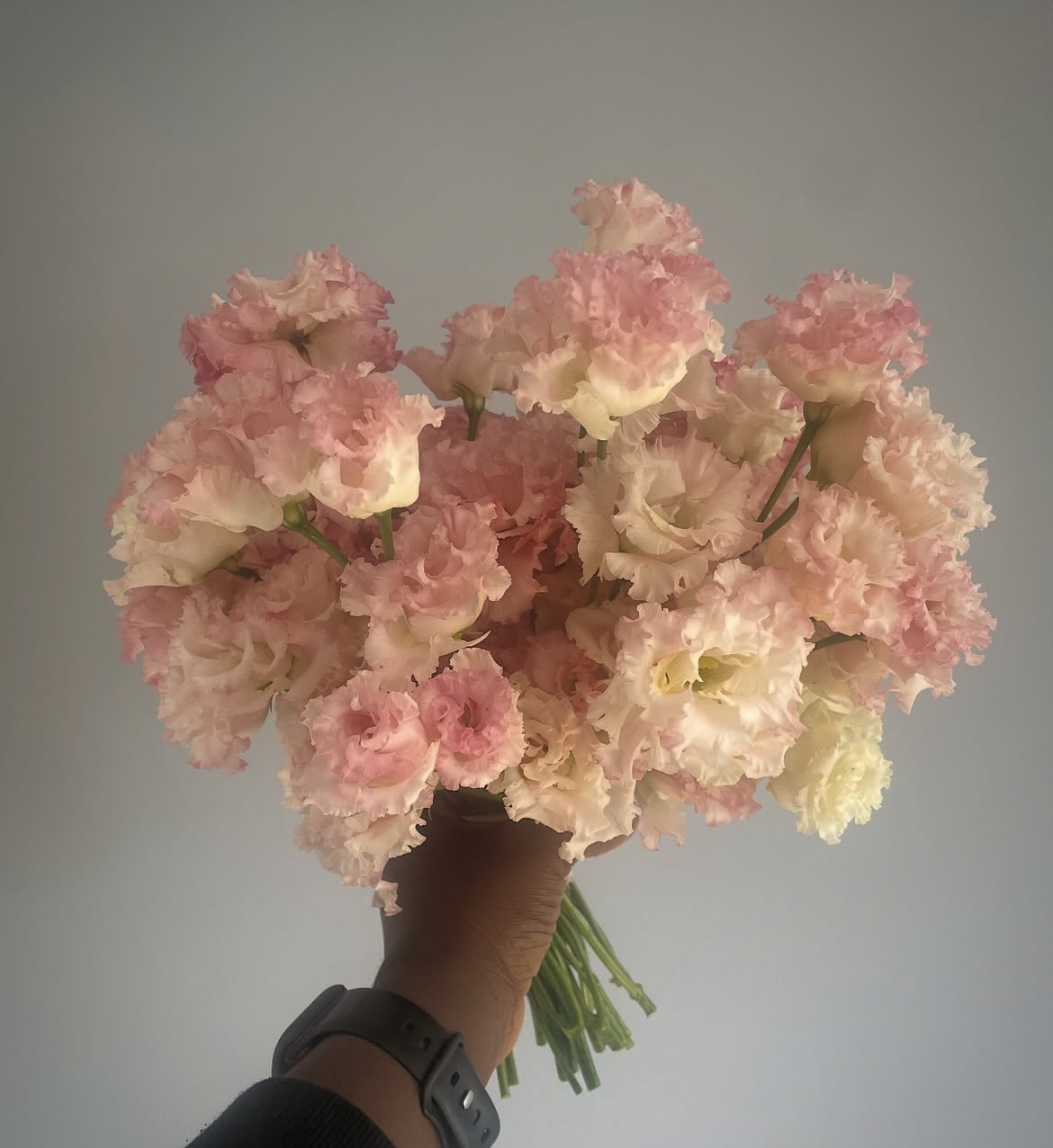 The lisianthus collection