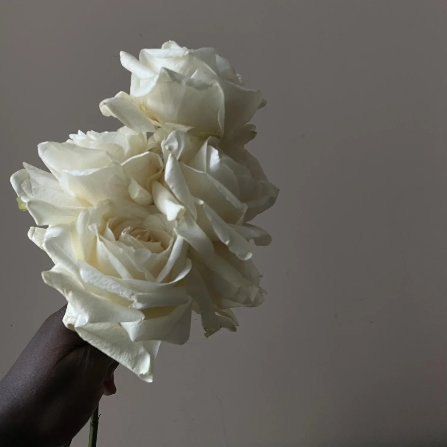 Bridesmaids' bouquet, £90
