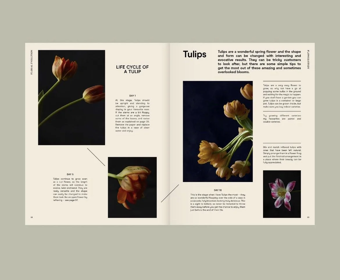 A two-page spread about tulips featuring multiple close-up photos of tulips at different stages of bloom and a paragraph describing their life cycle and types.