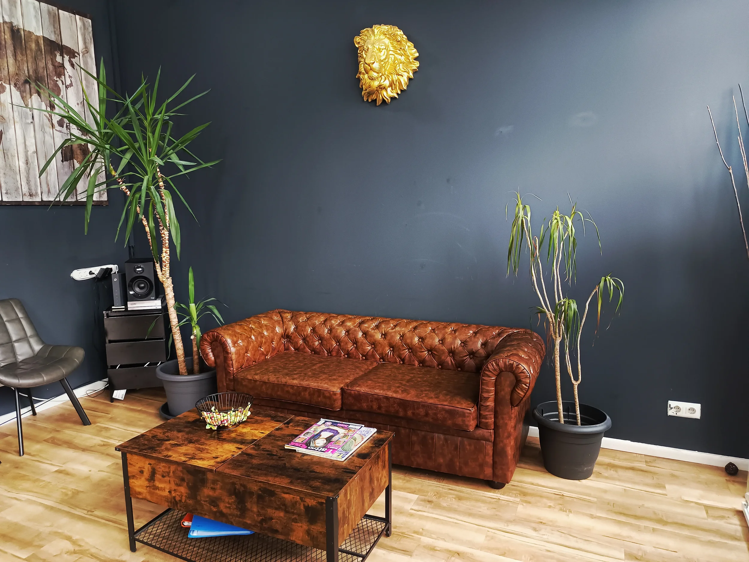 Wartebereich im King Tattoo Studio Offenbach mit brauner Ledercouch, Pflanzen und goldenem Löwenkopf an der Wand