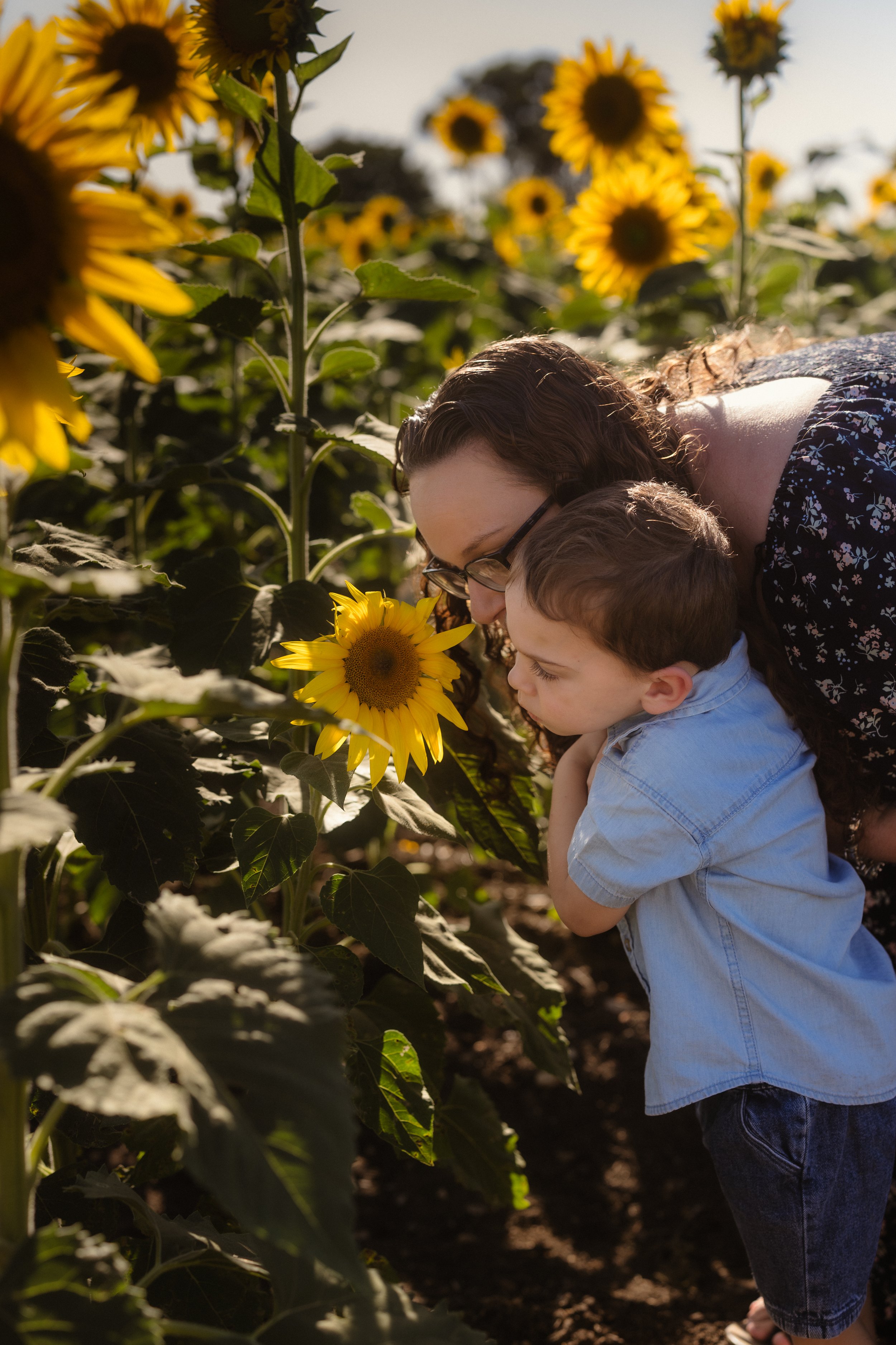 mother and child surrounded by sunflowers during outdoor family photography session