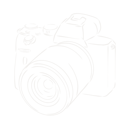 Branding & Visuals M/S