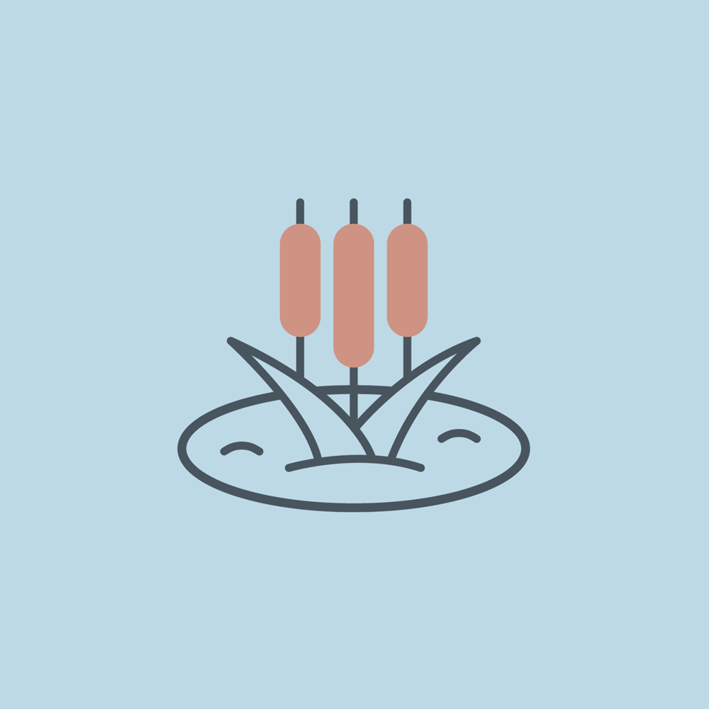 IGWC-right-image-1-1000x955-2.gif