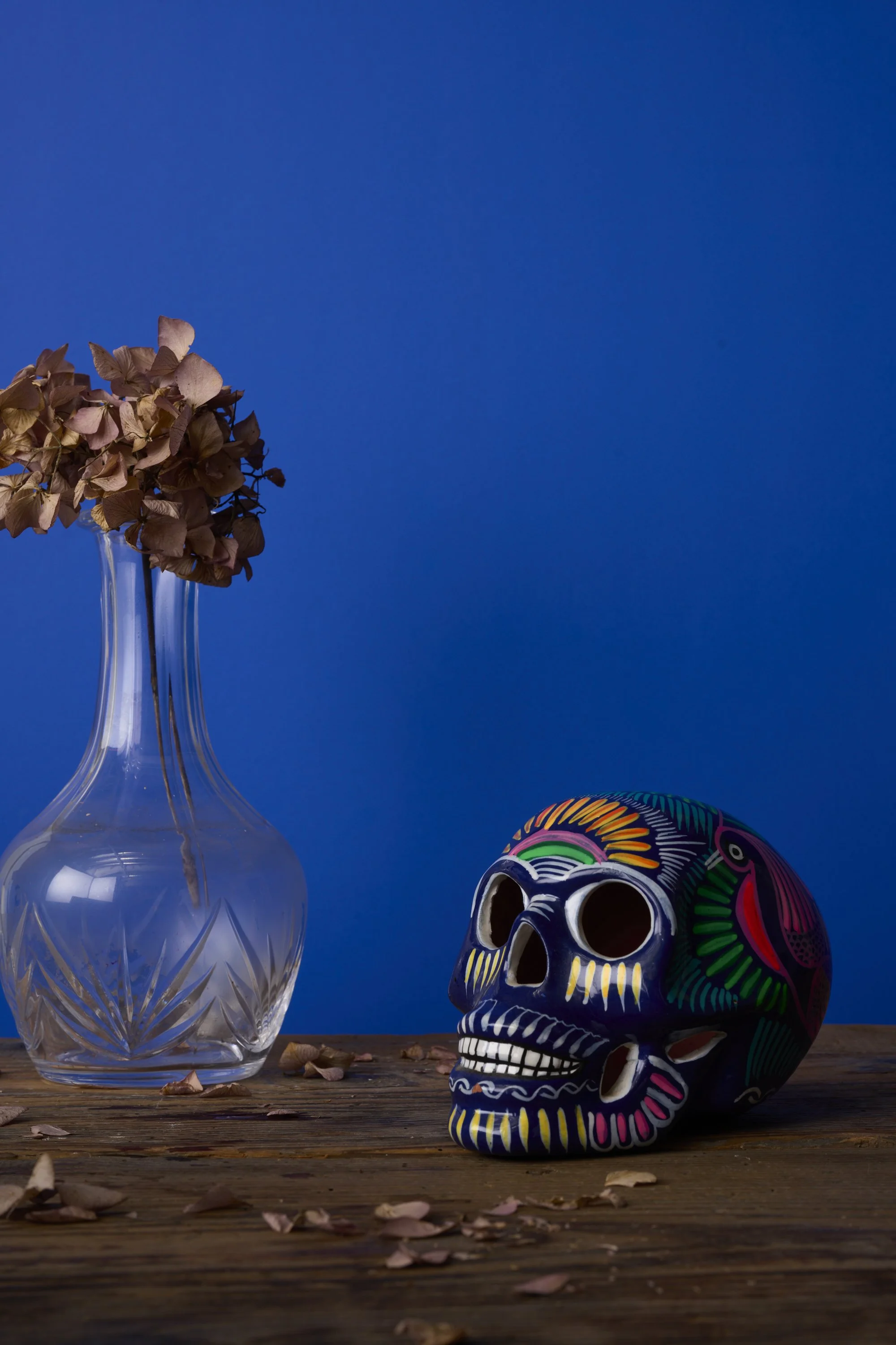 Calavera_3