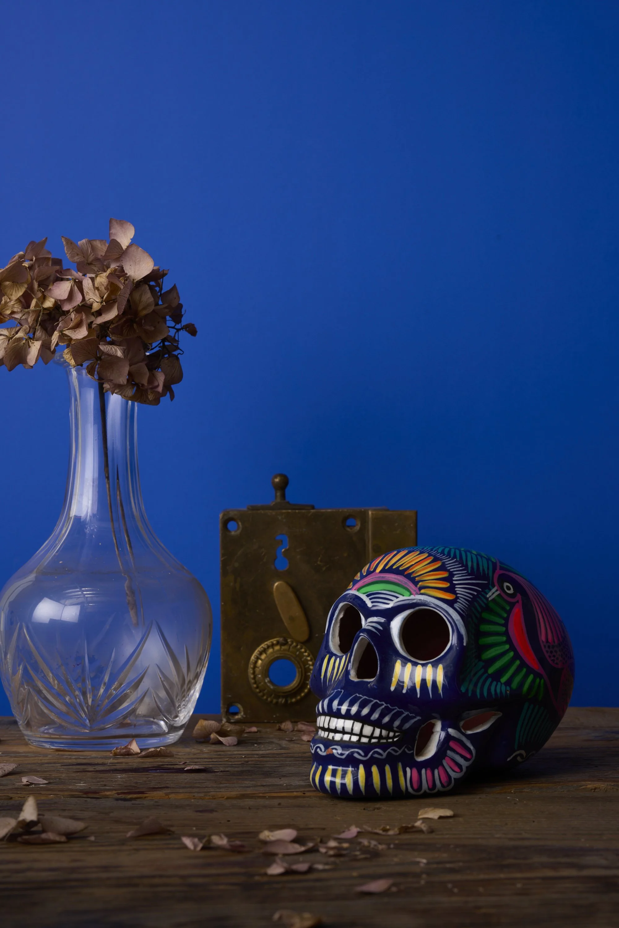 Calavera_4