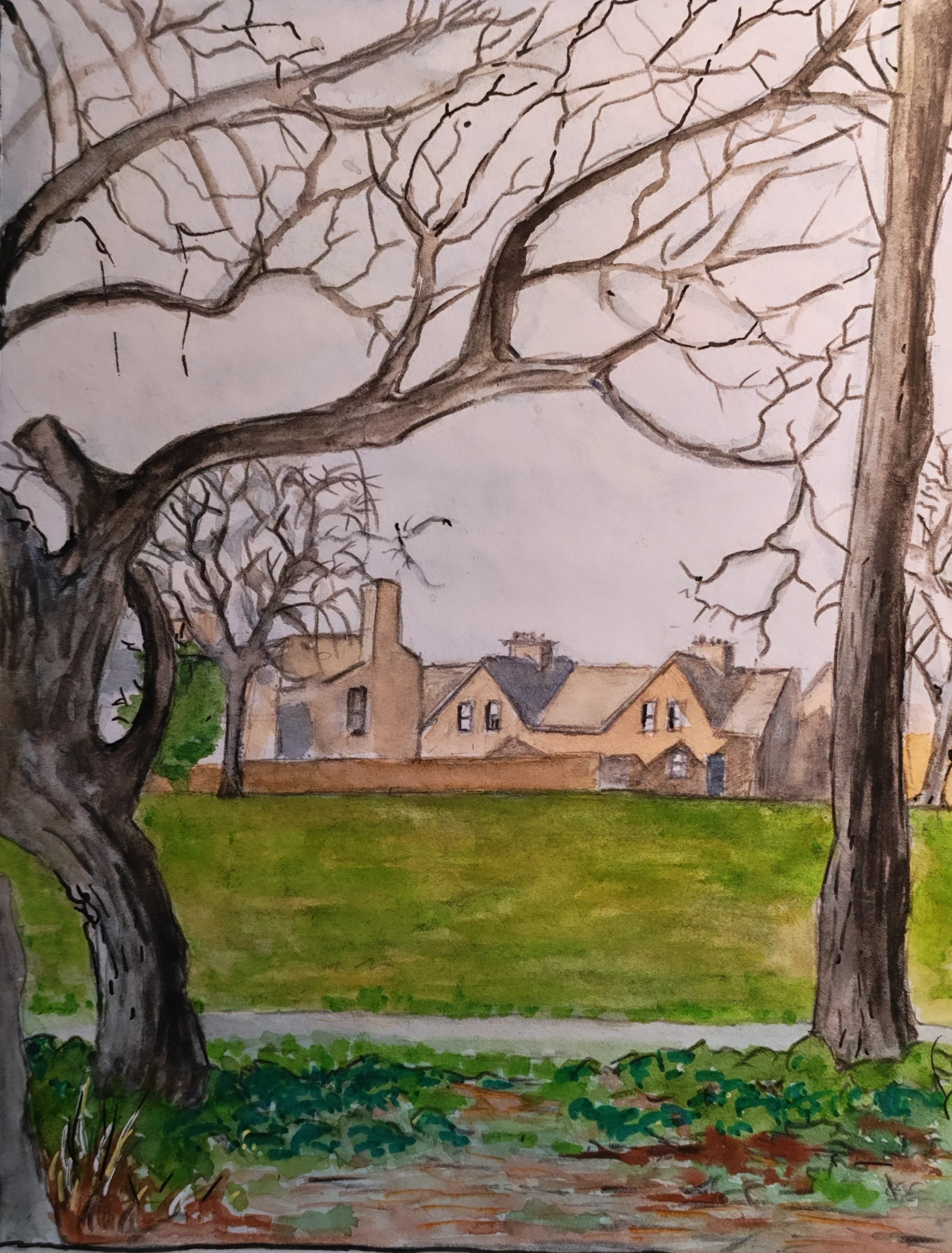 January in Herbert Park