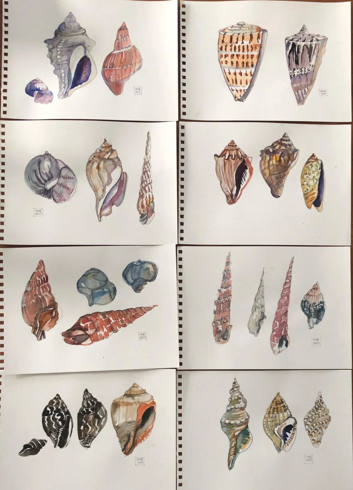 WhatsApp Image 2026-04-01 at 18.46.14.jpeg