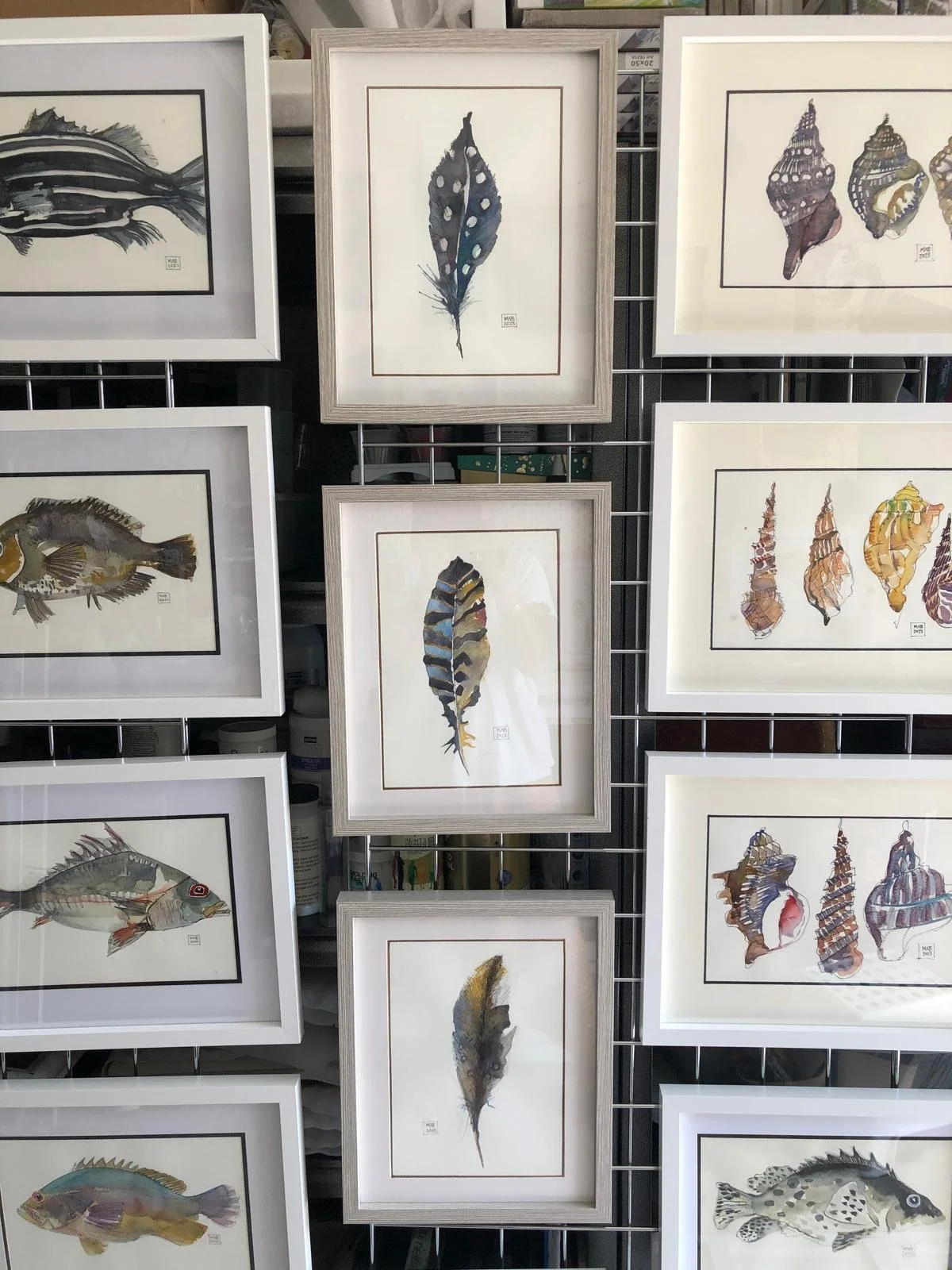 WhatsApp Image 2026-04-01 at 18.48.05.jpeg