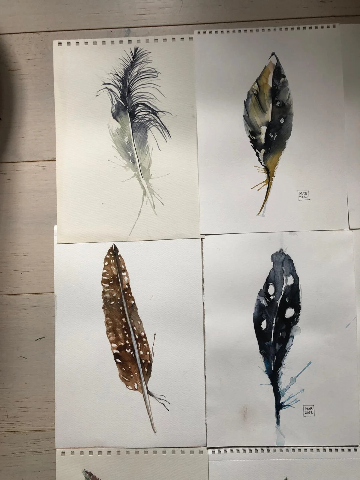 WhatsApp Image 2026-04-01 at 18.44.11 (2).jpeg