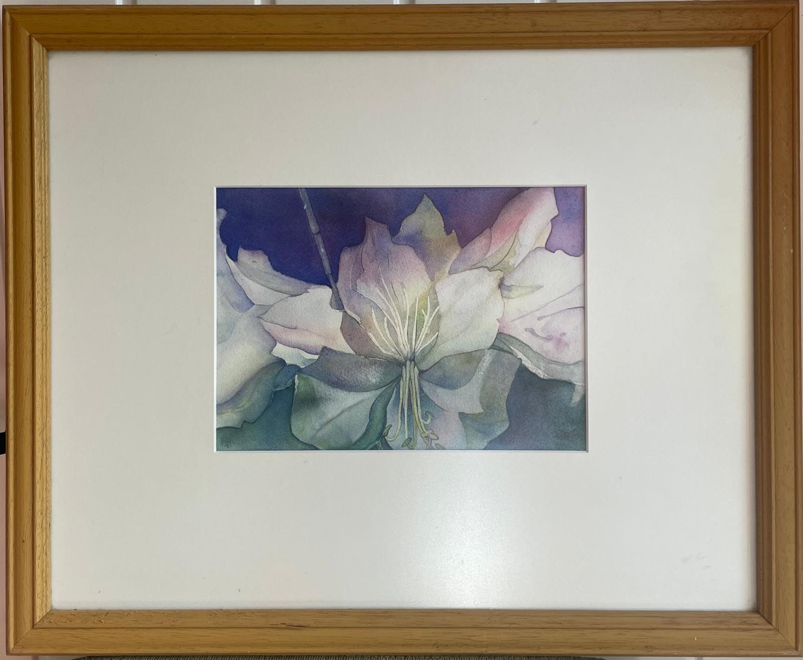 WhatsApp Image 2026-04-21 at 16.40.25.jpeg